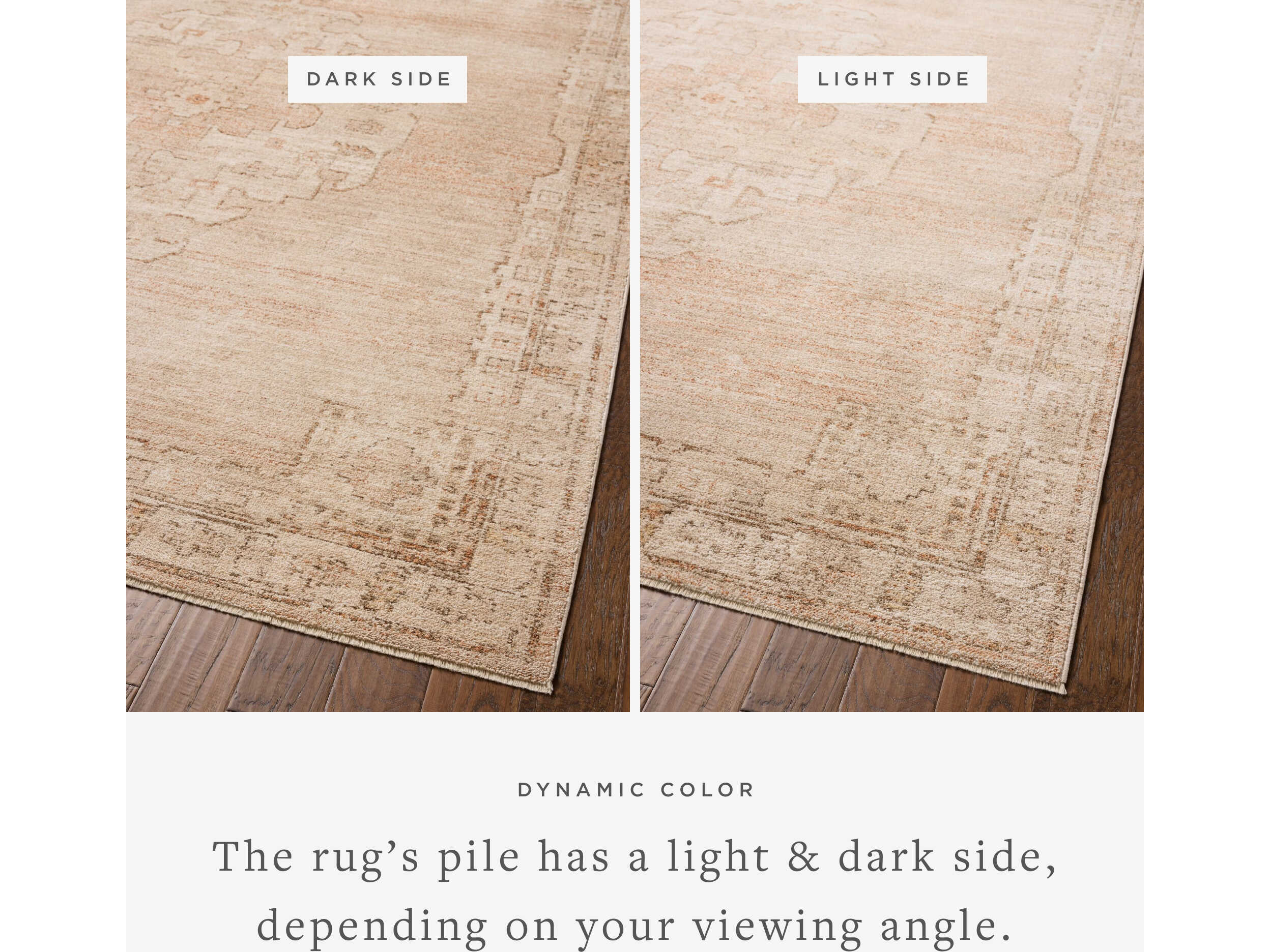 Loloi Rugs Chris Loves Julia Oriental Runner Area Rug