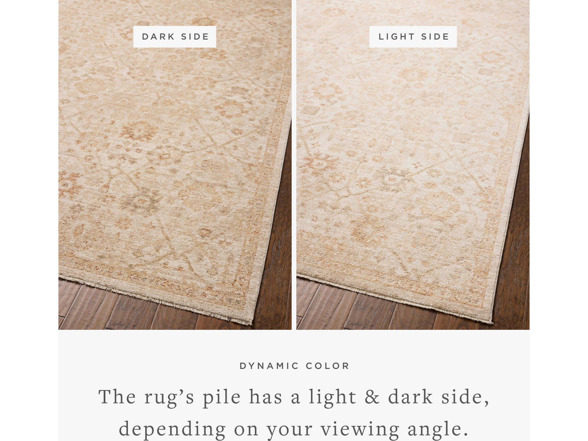 Loloi Rugs Chris Loves Julia Oriental Runner Area Rug