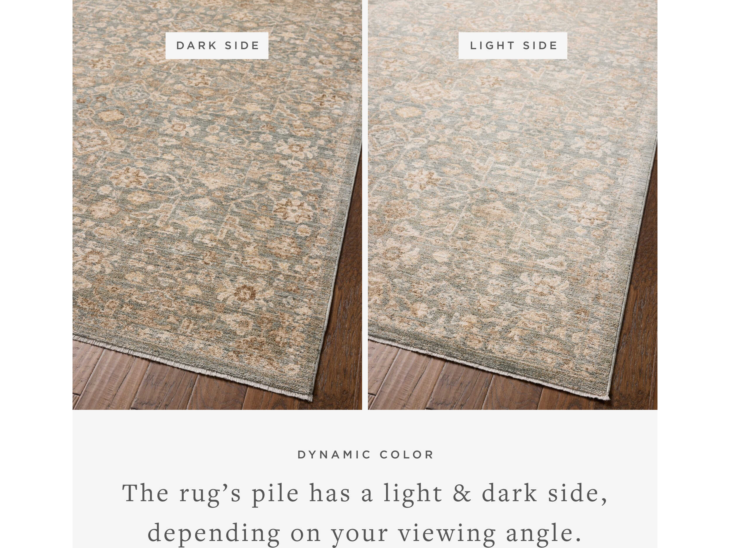 Loloi Rugs Chris Loves Julia Oriental Runner Area Rug