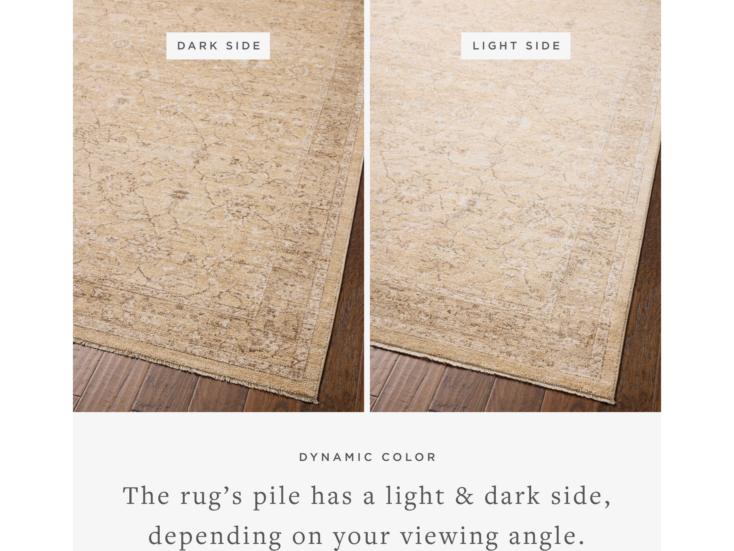 Loloi Rugs Chris Loves Julia Oriental Runner Area Rug