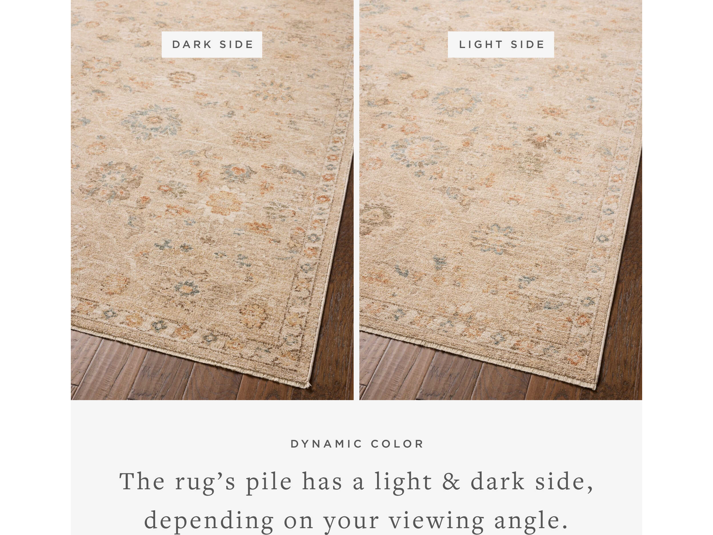 Loloi Rugs Chris Loves Julia Oriental Runner Area Rug