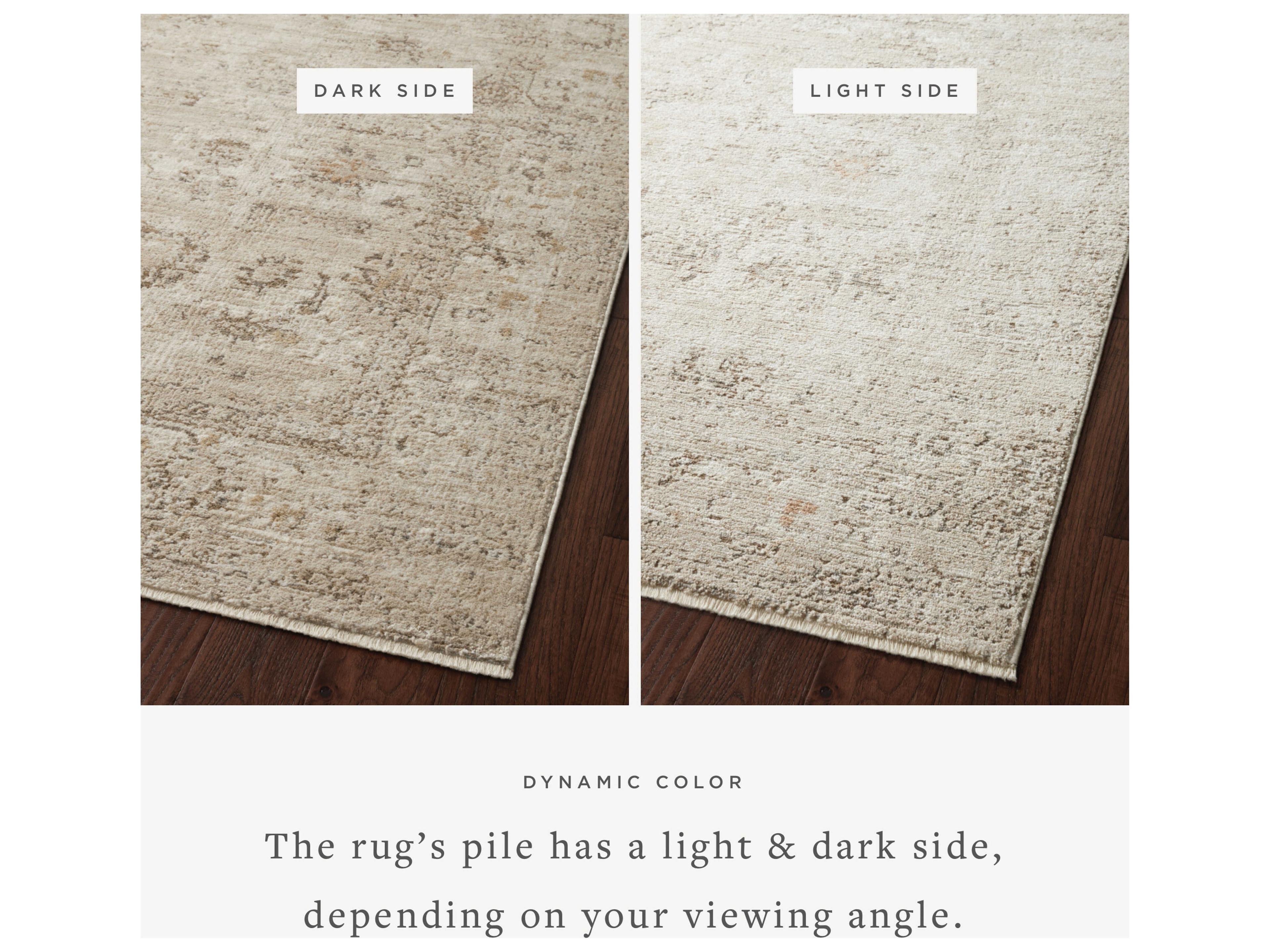 Loloi Rugs Sonnet Bordered Area Rug