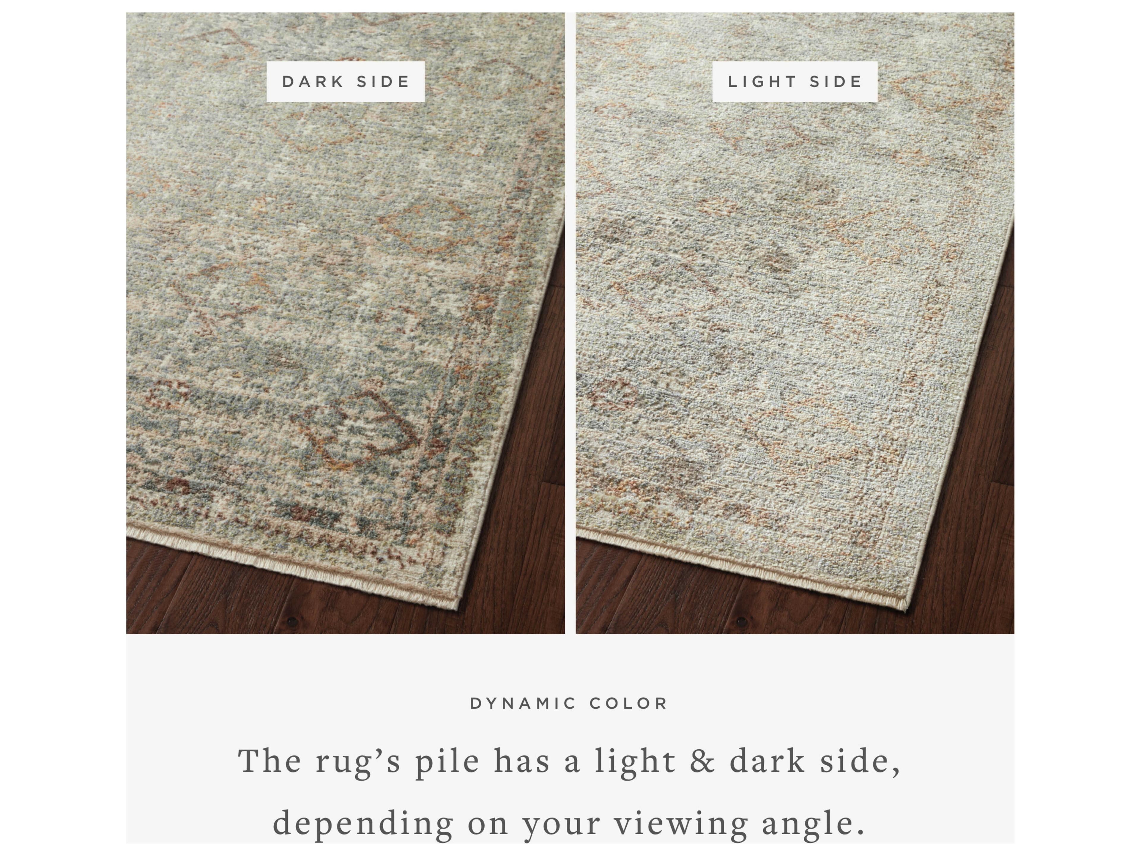 Loloi Rugs Sonnet Bordered Area Rug