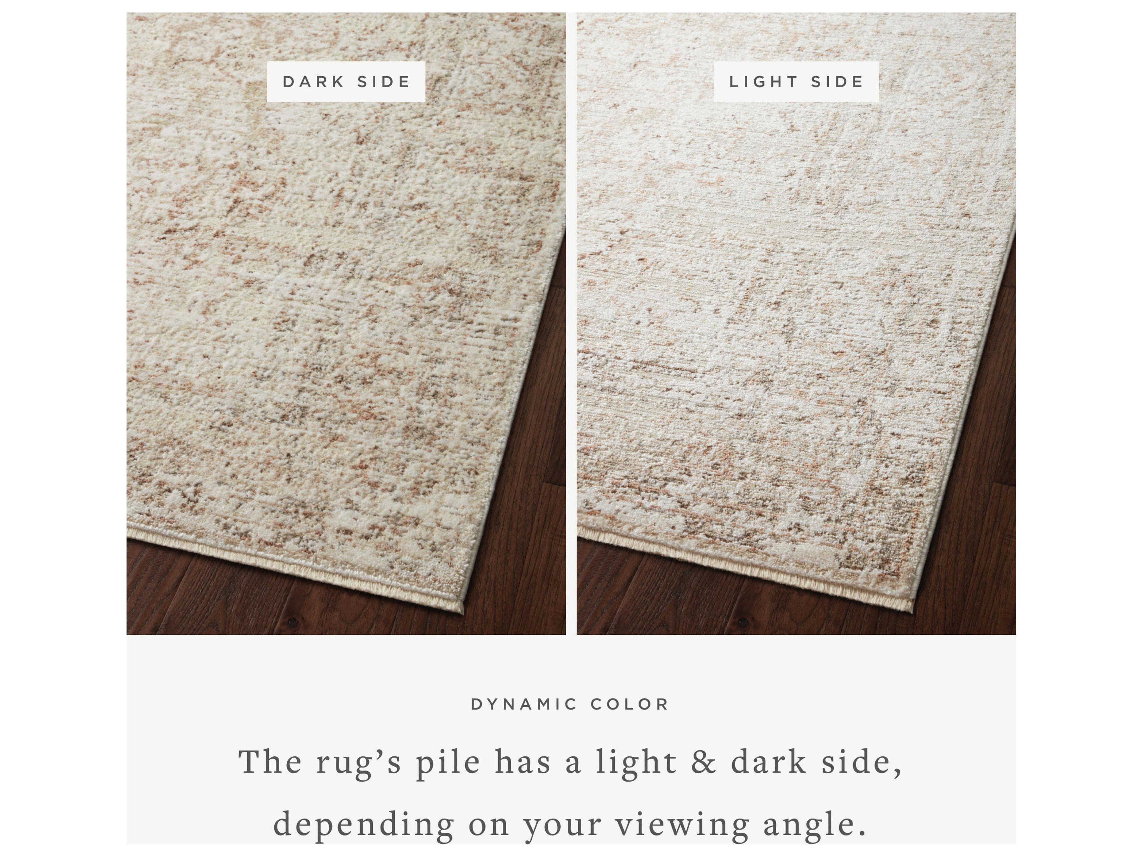 Loloi Rugs Sonnet Bordered Area Rug