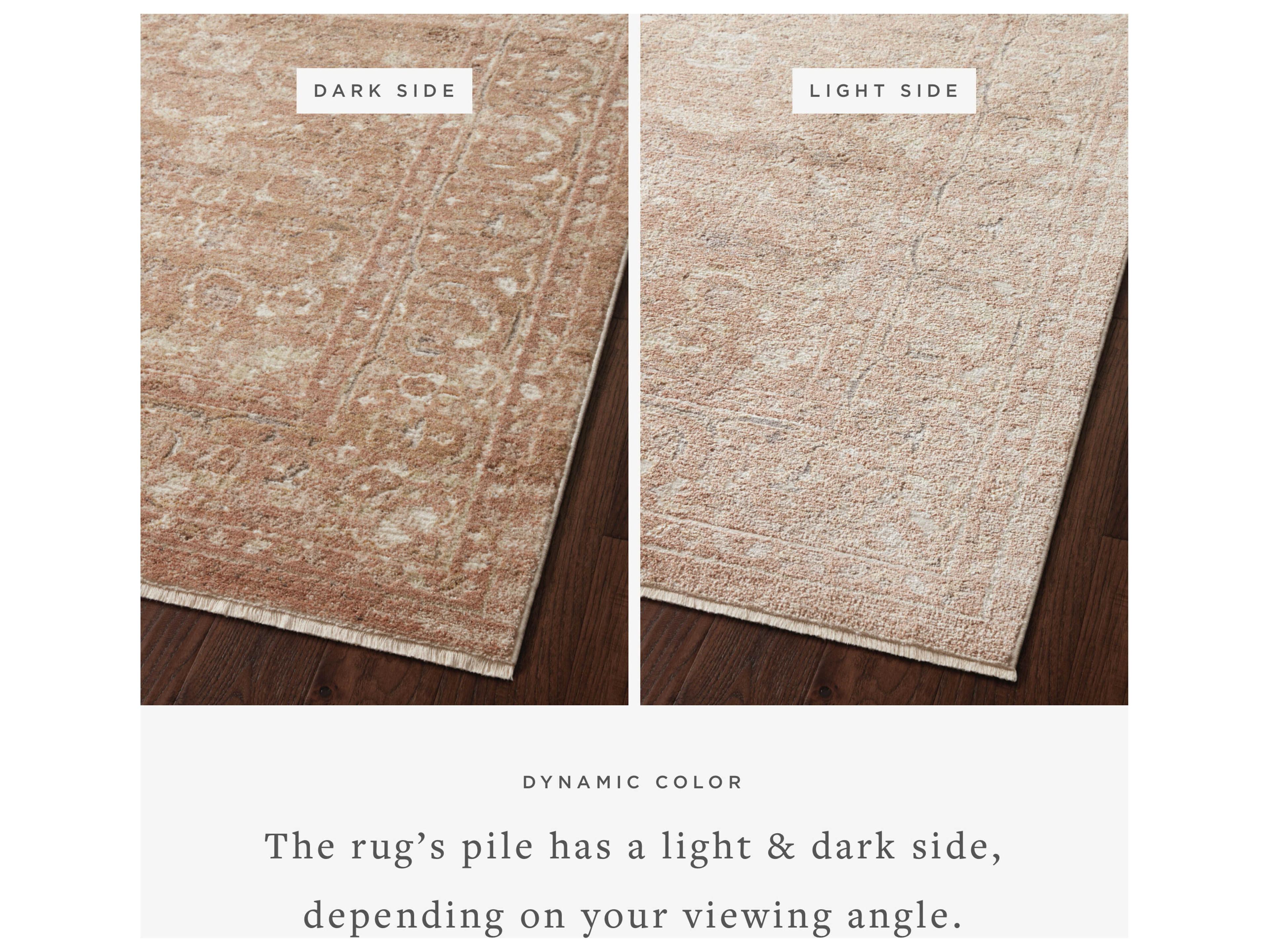 Loloi Rugs Sonnet Bordered Area Rug