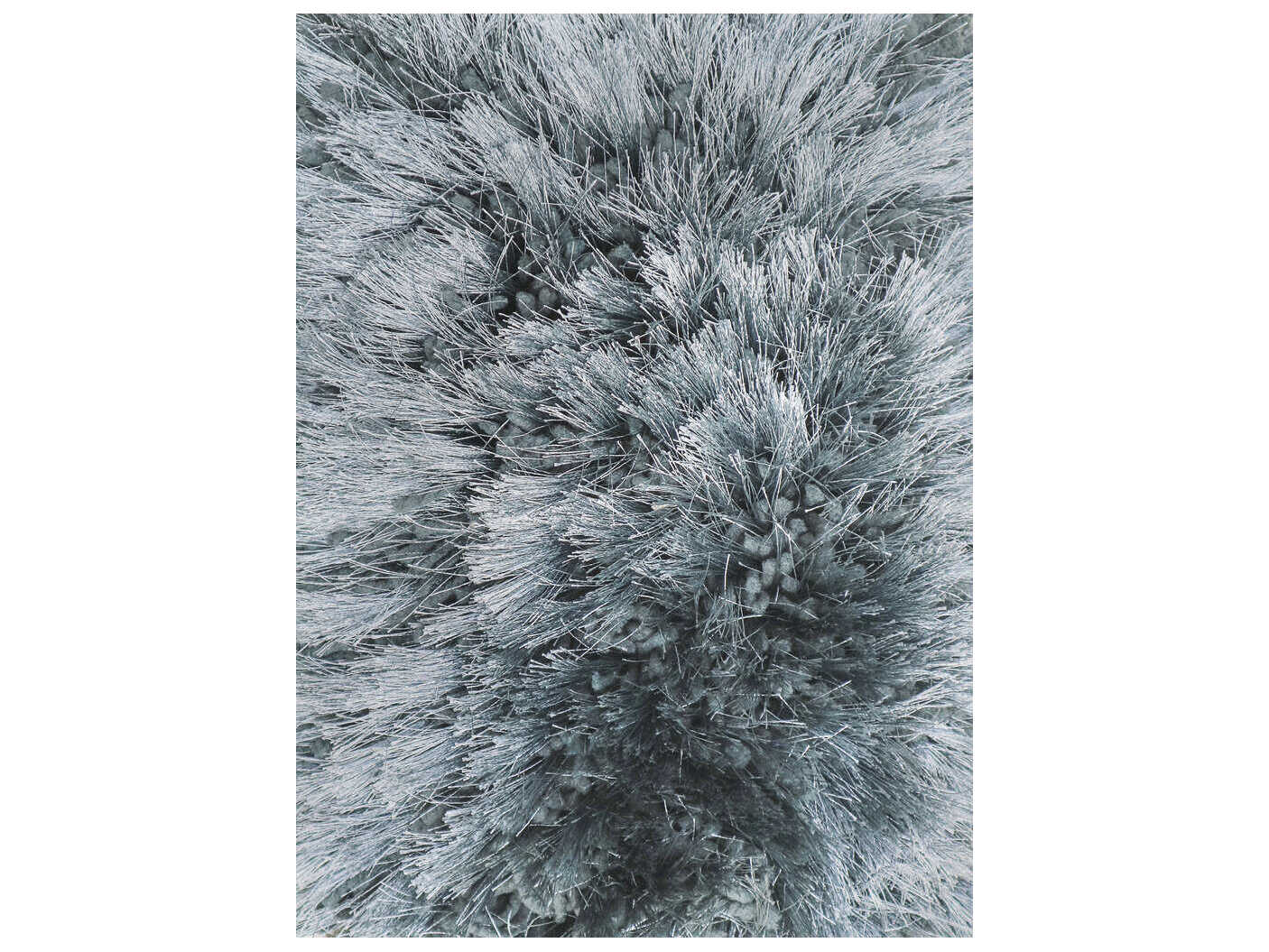 Ligne Pure Adore Area Rug