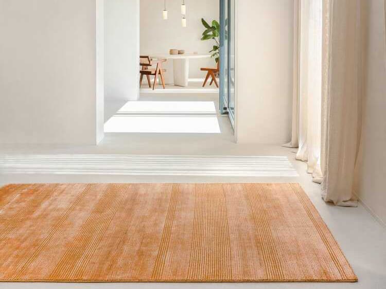 Ligne Pure Ray Area Rug