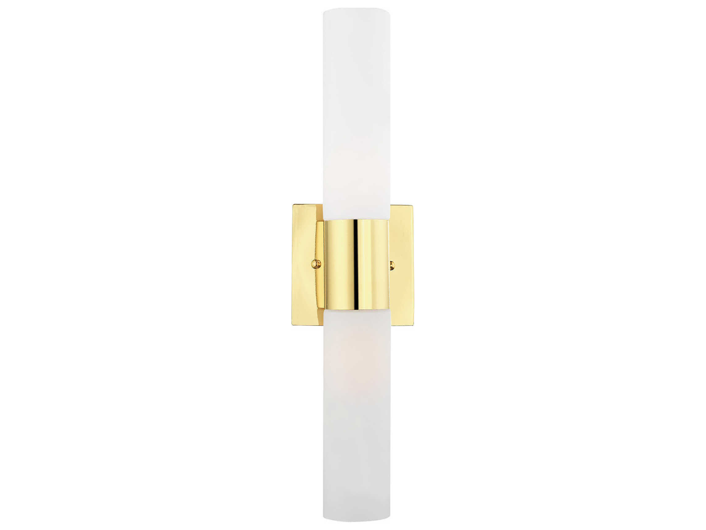 Livex Lighting Aero 2-Light Polished Brass Glass Wall Sconce