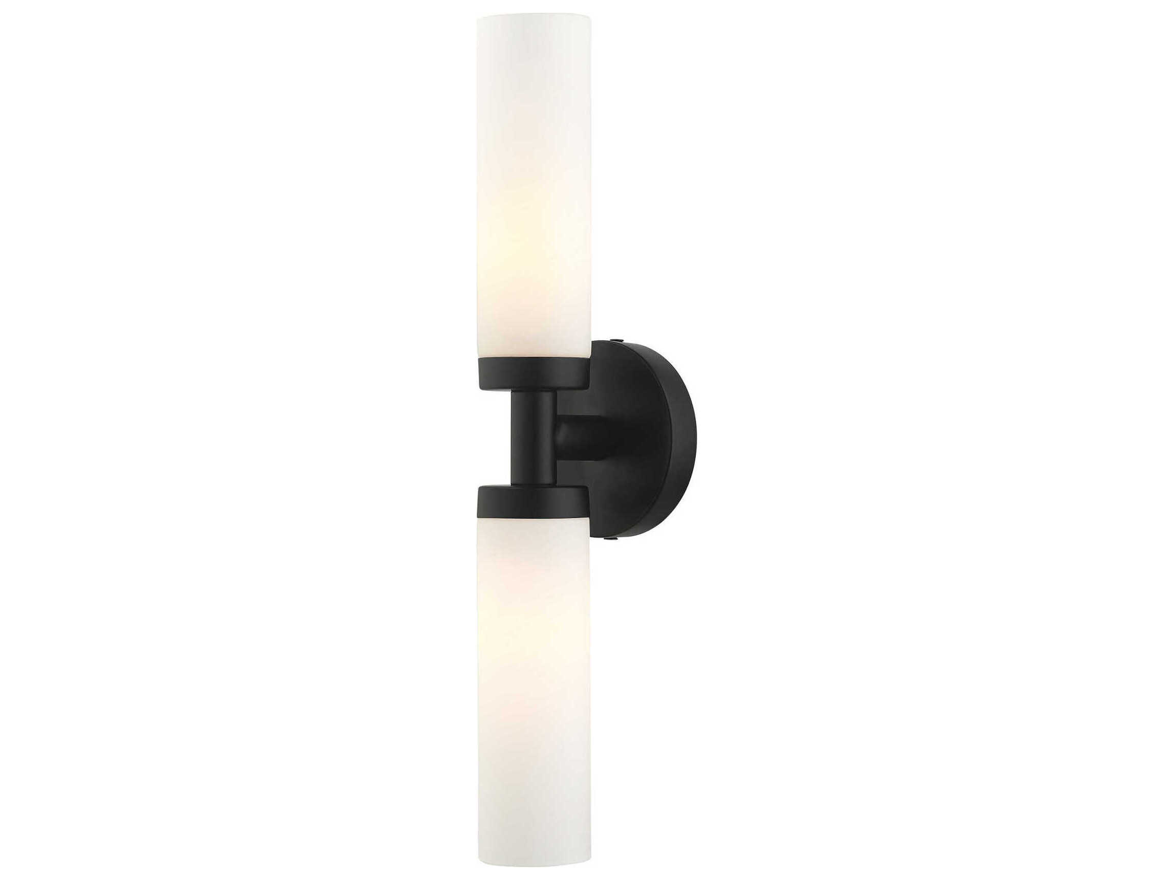 Livex Lighting Aero 2-Light Black White Glass Wall Sconce