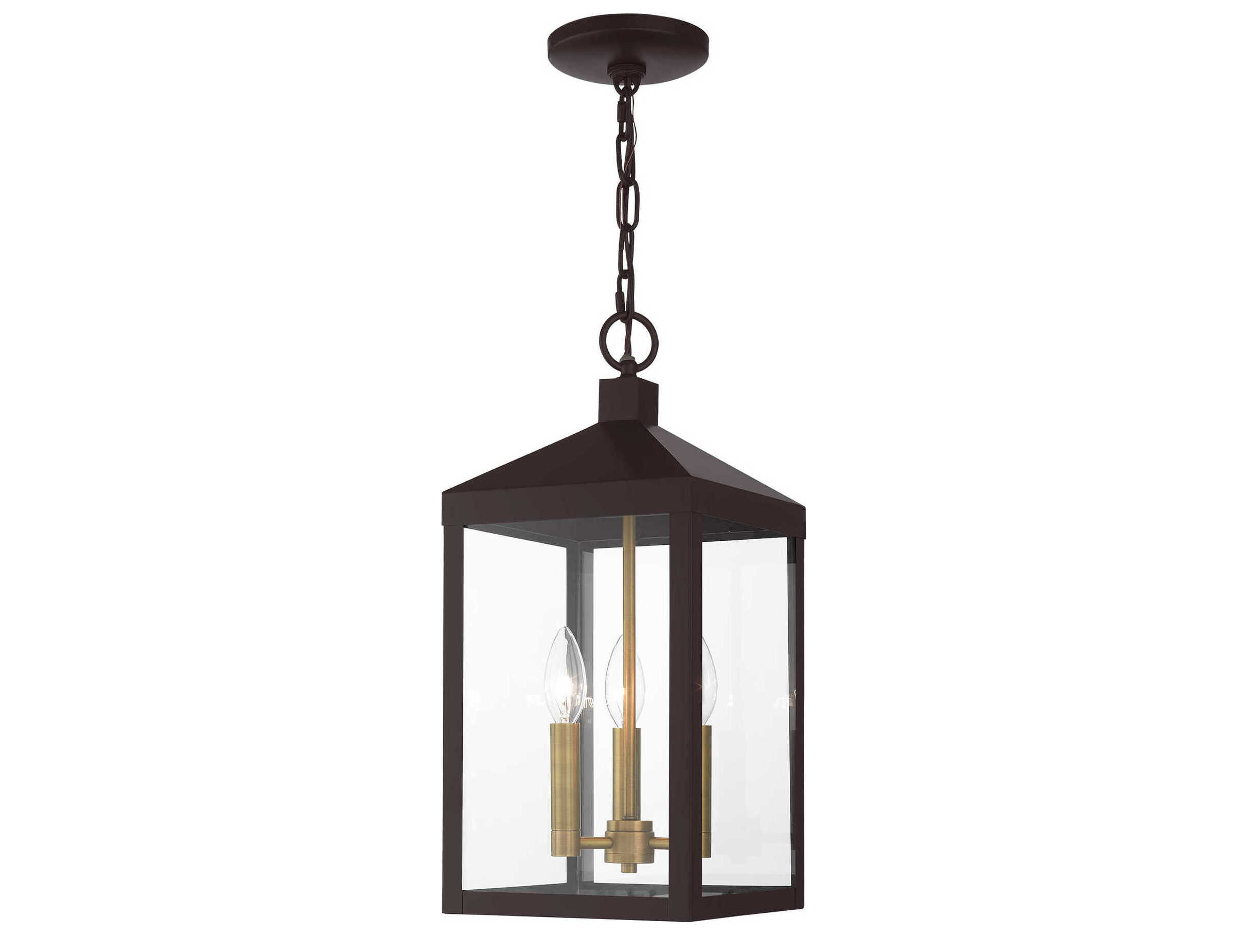 Livex Lighting Nyack Outdoor Hanging Light