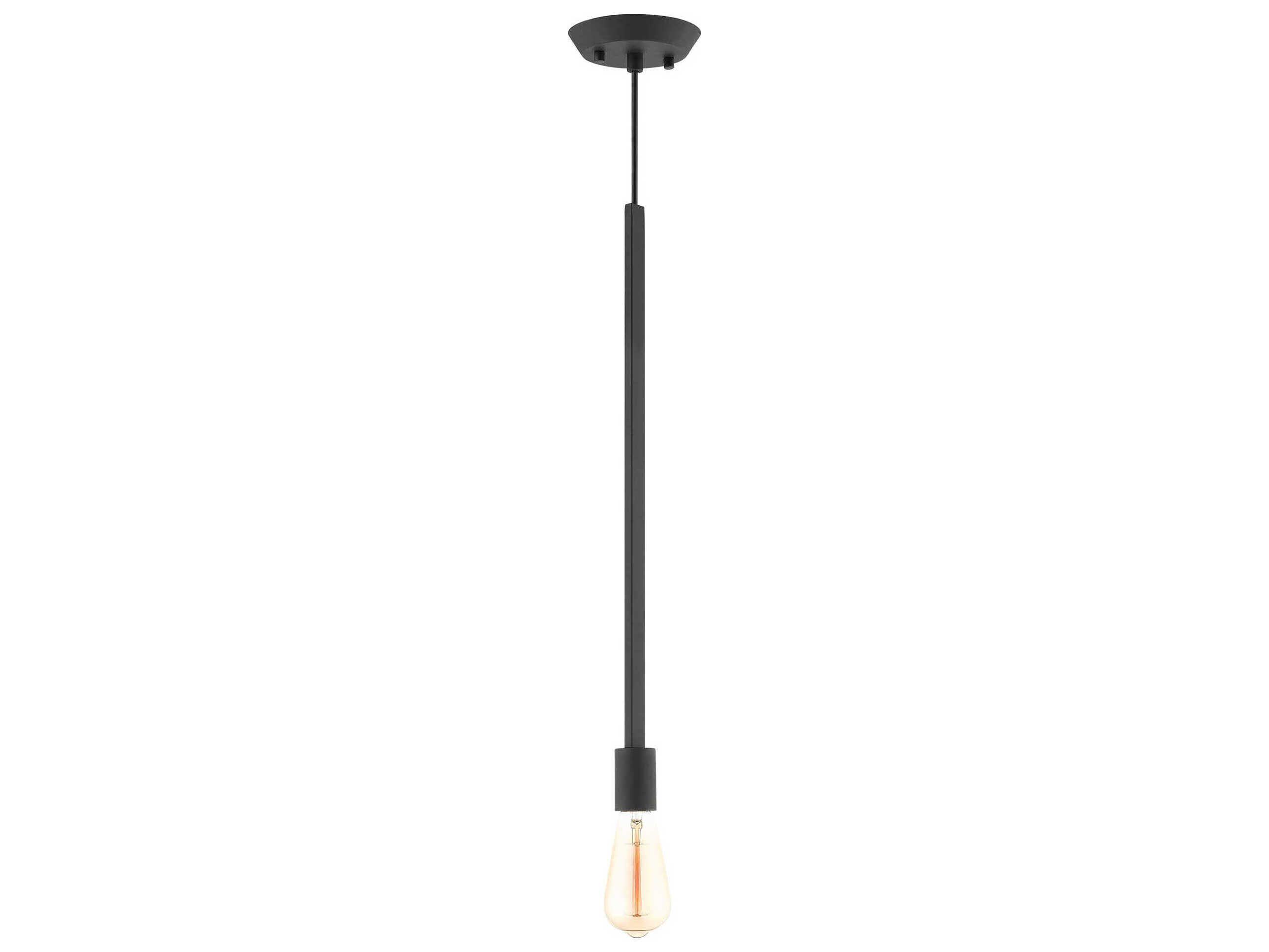 Livex Lighting Prague 1-Light Black Mini Pendant