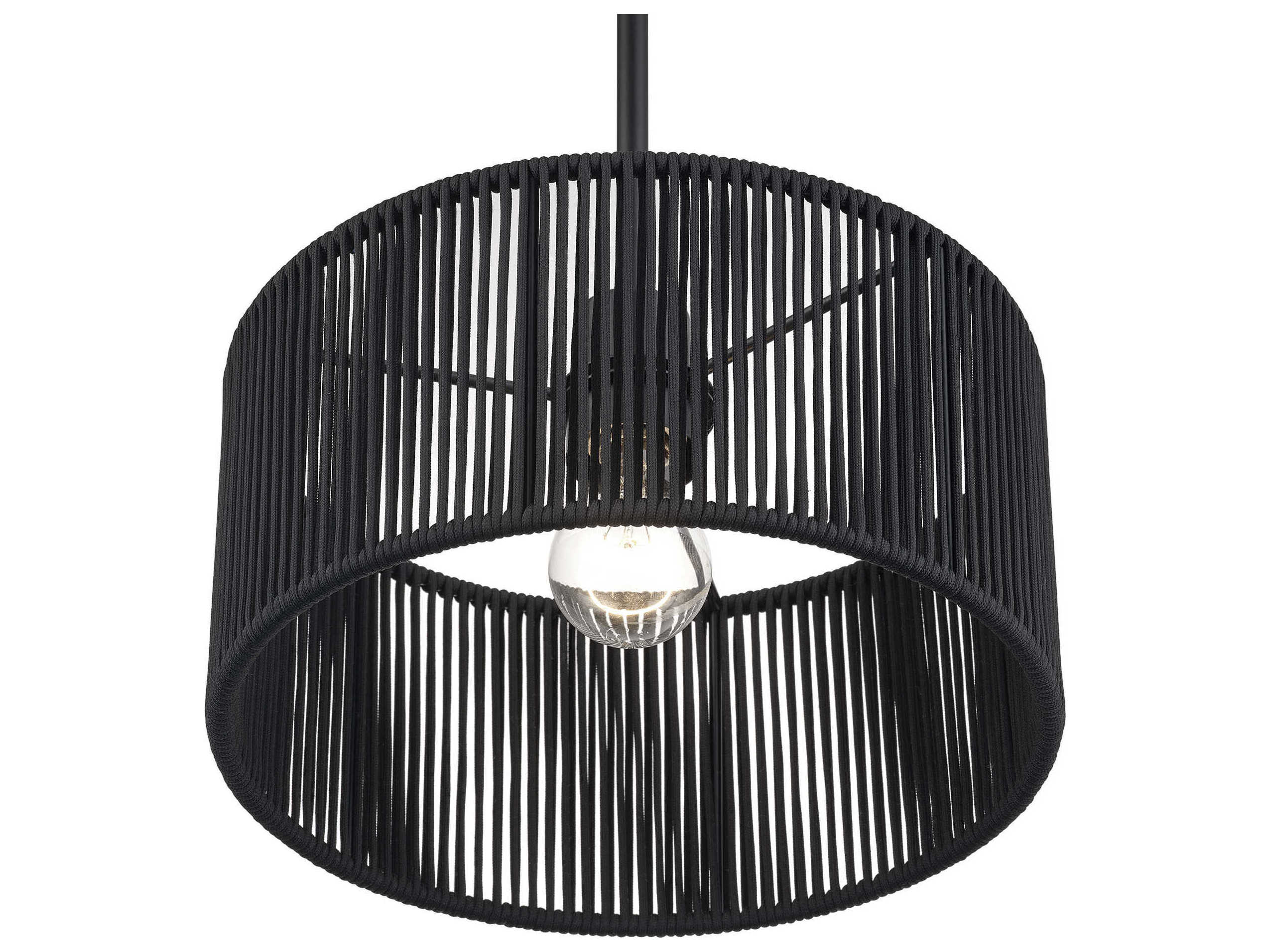 Livex Lighting Acordia 1-Light Black Drum Mini Pendant