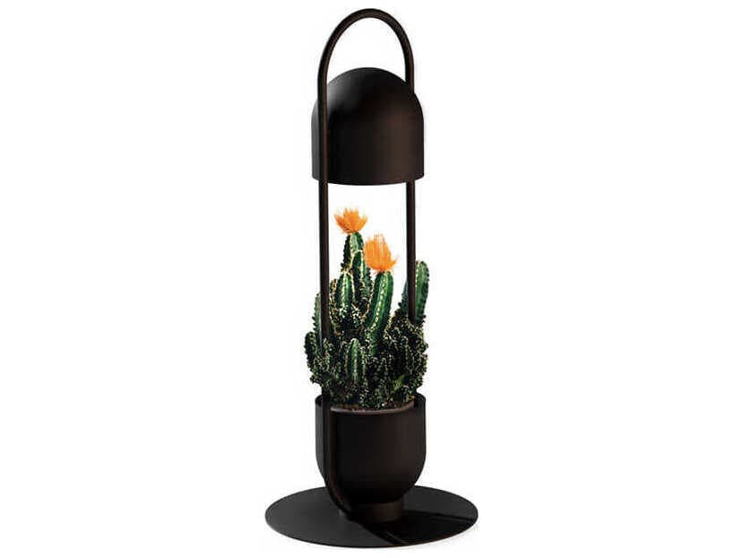 Luxcambra Oxygen Black Table Lamp