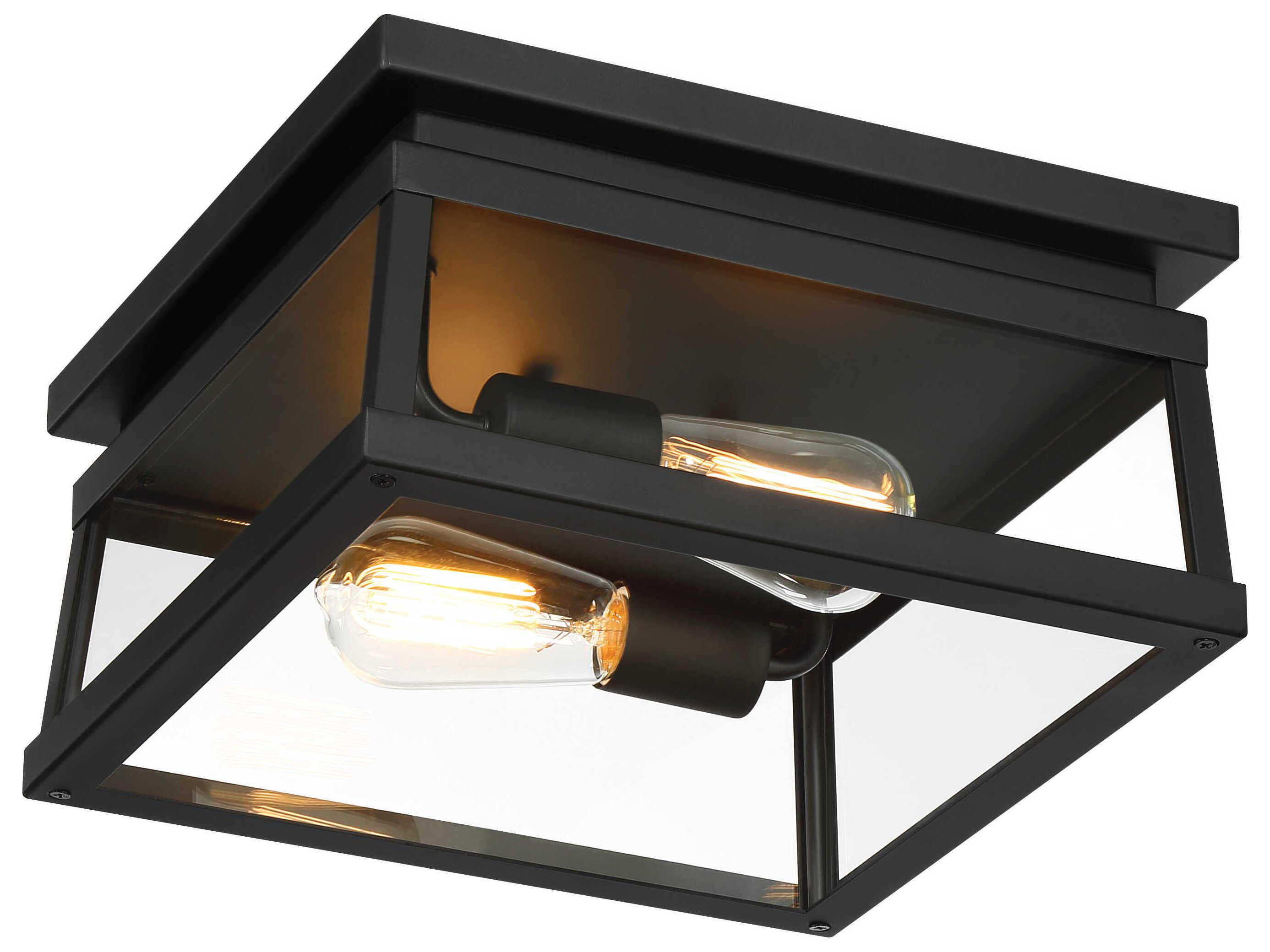 Minka Lavery Isla Vista 2-Light Outdoor Ceiling Light