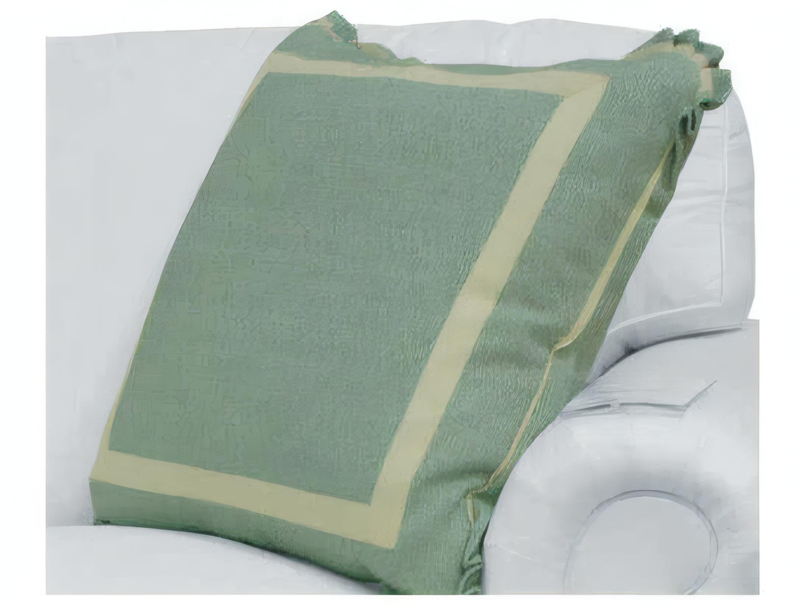 Mr. & Mrs. Howard Box Throw Pillow