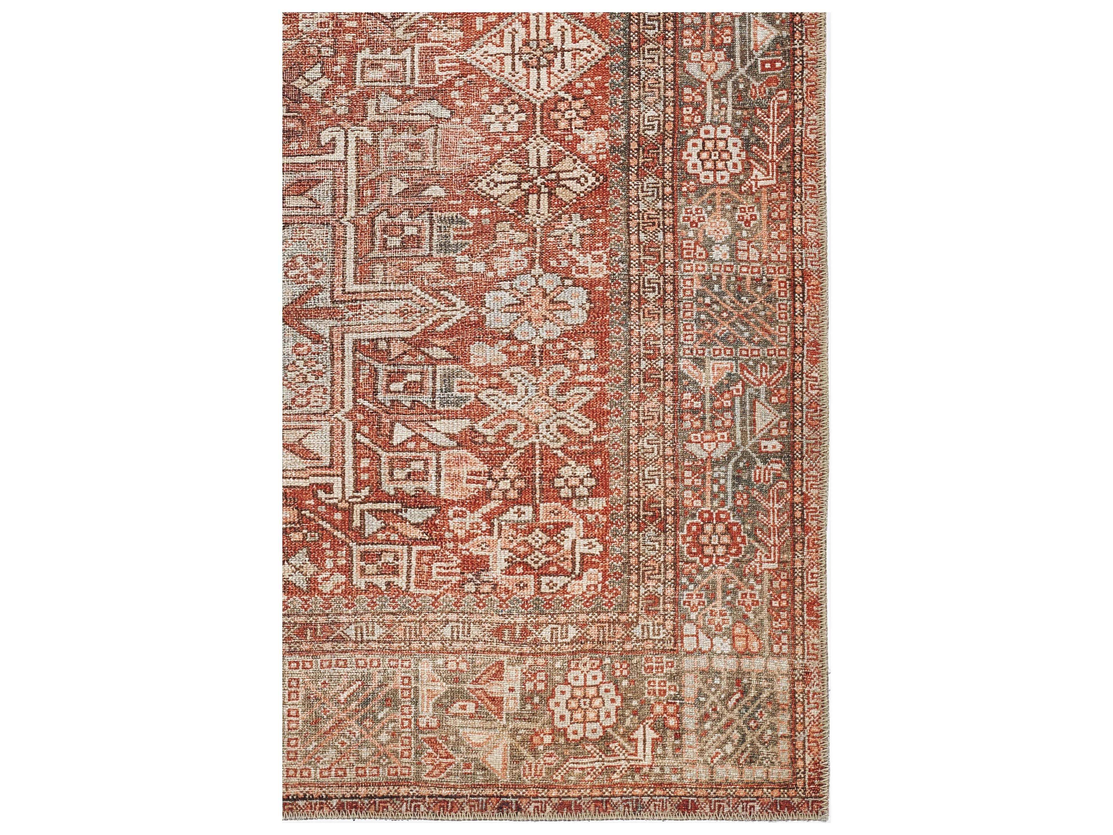 Momeni Ariana Bordered Area Rug