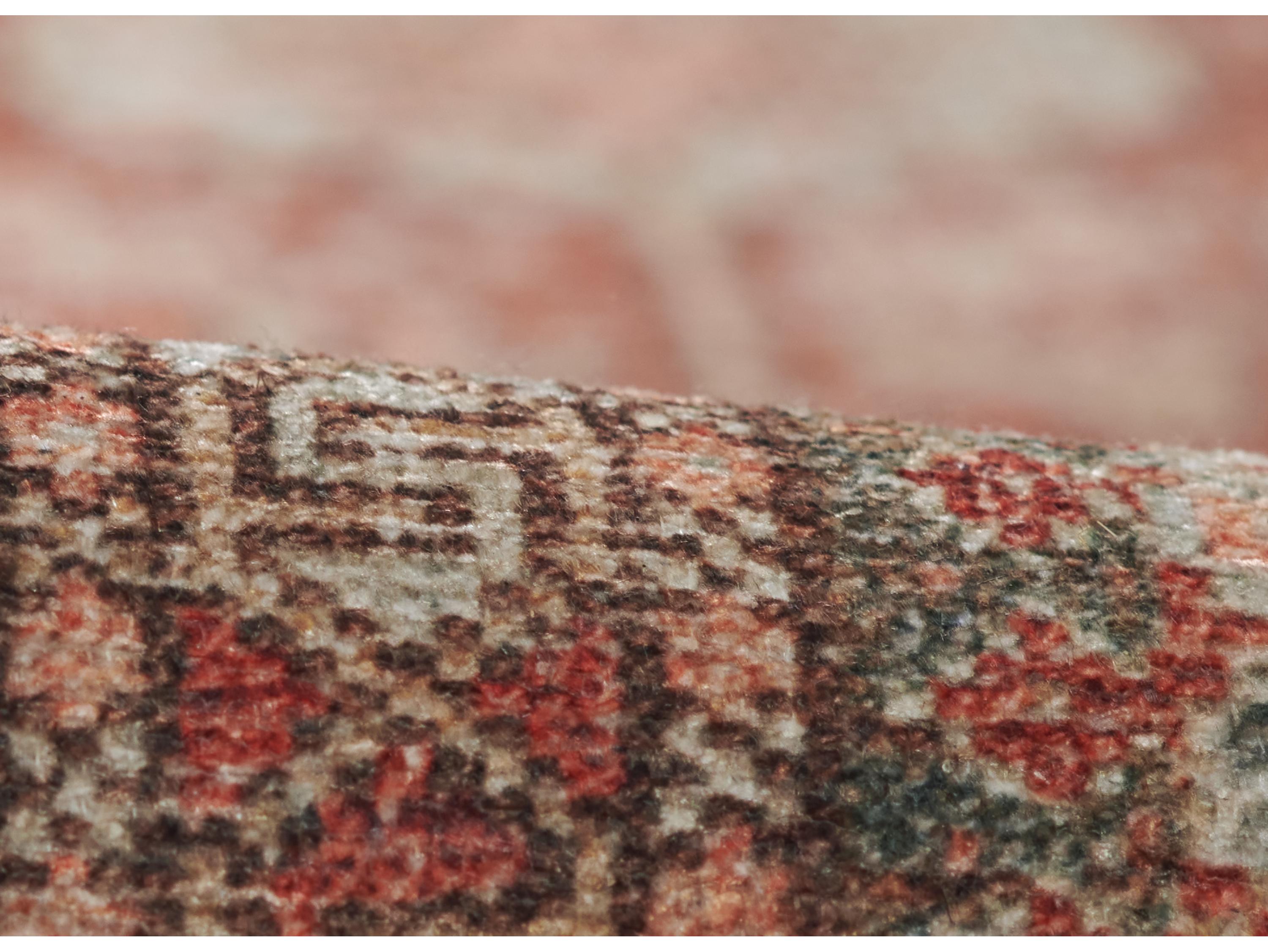 Momeni Ariana Bordered Area Rug