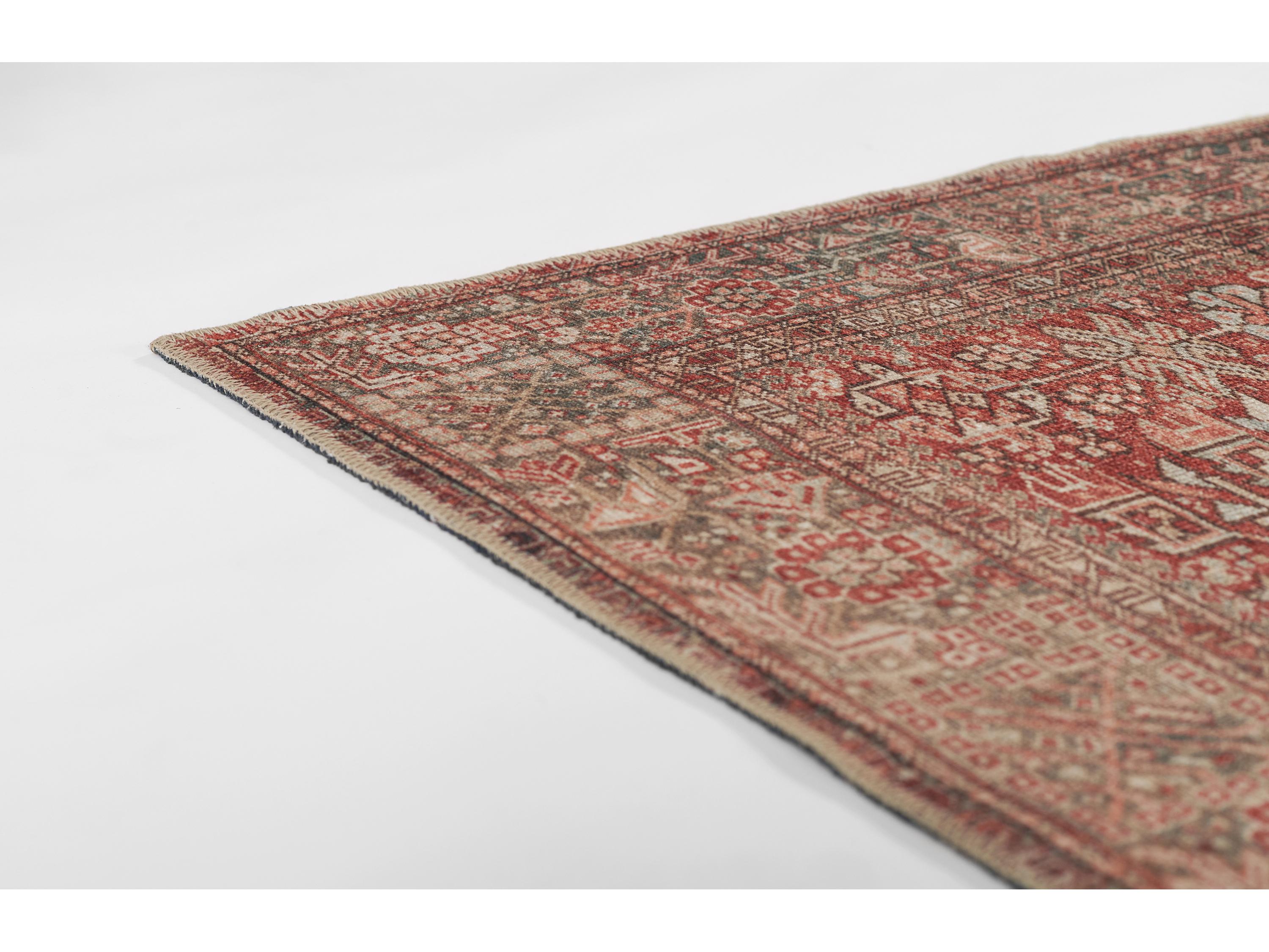Momeni Ariana Bordered Area Rug