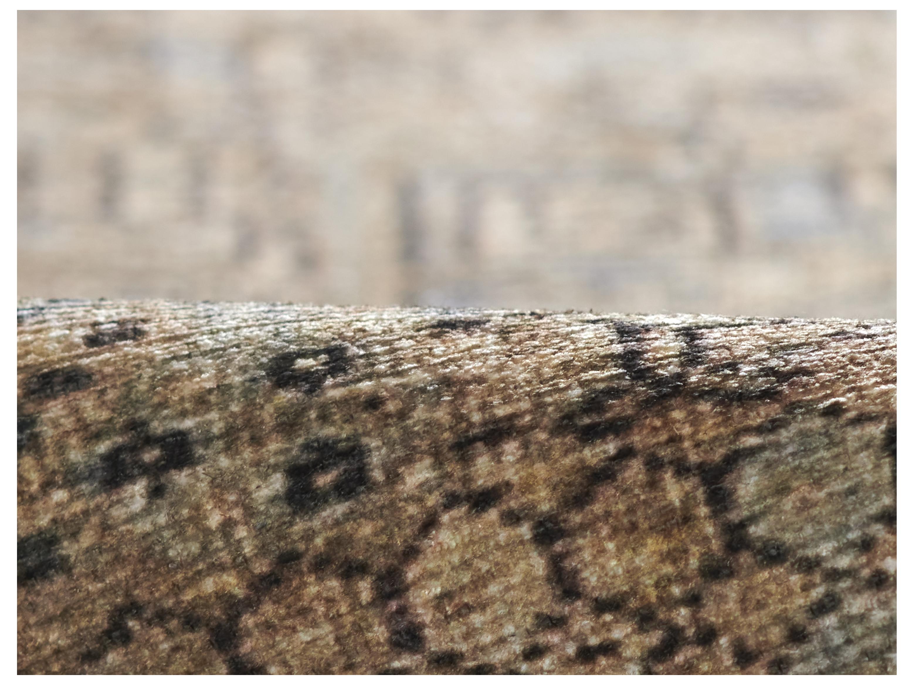 Momeni Ariana Bordered Area Rug