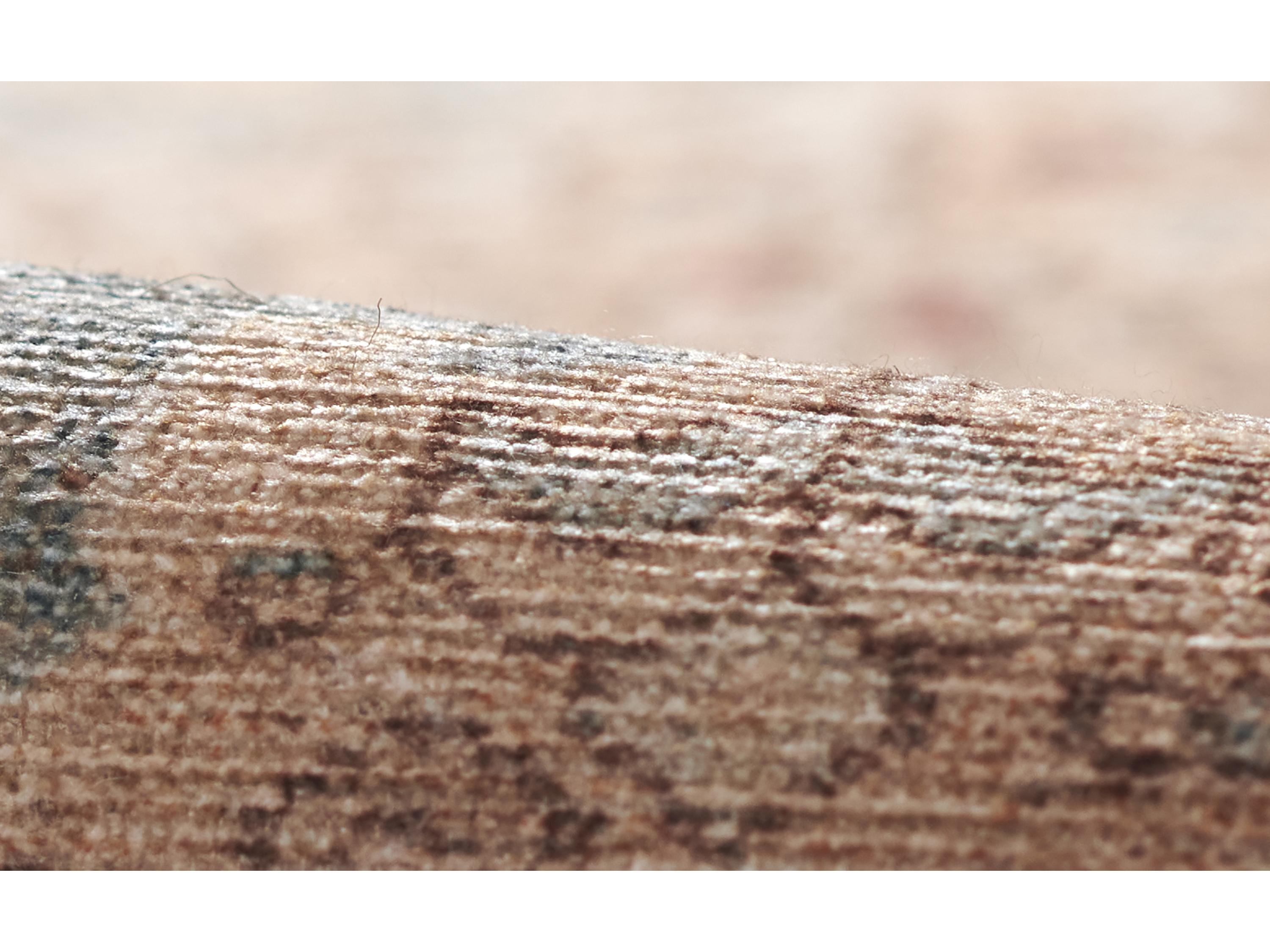 Momeni Ariana Bordered Area Rug