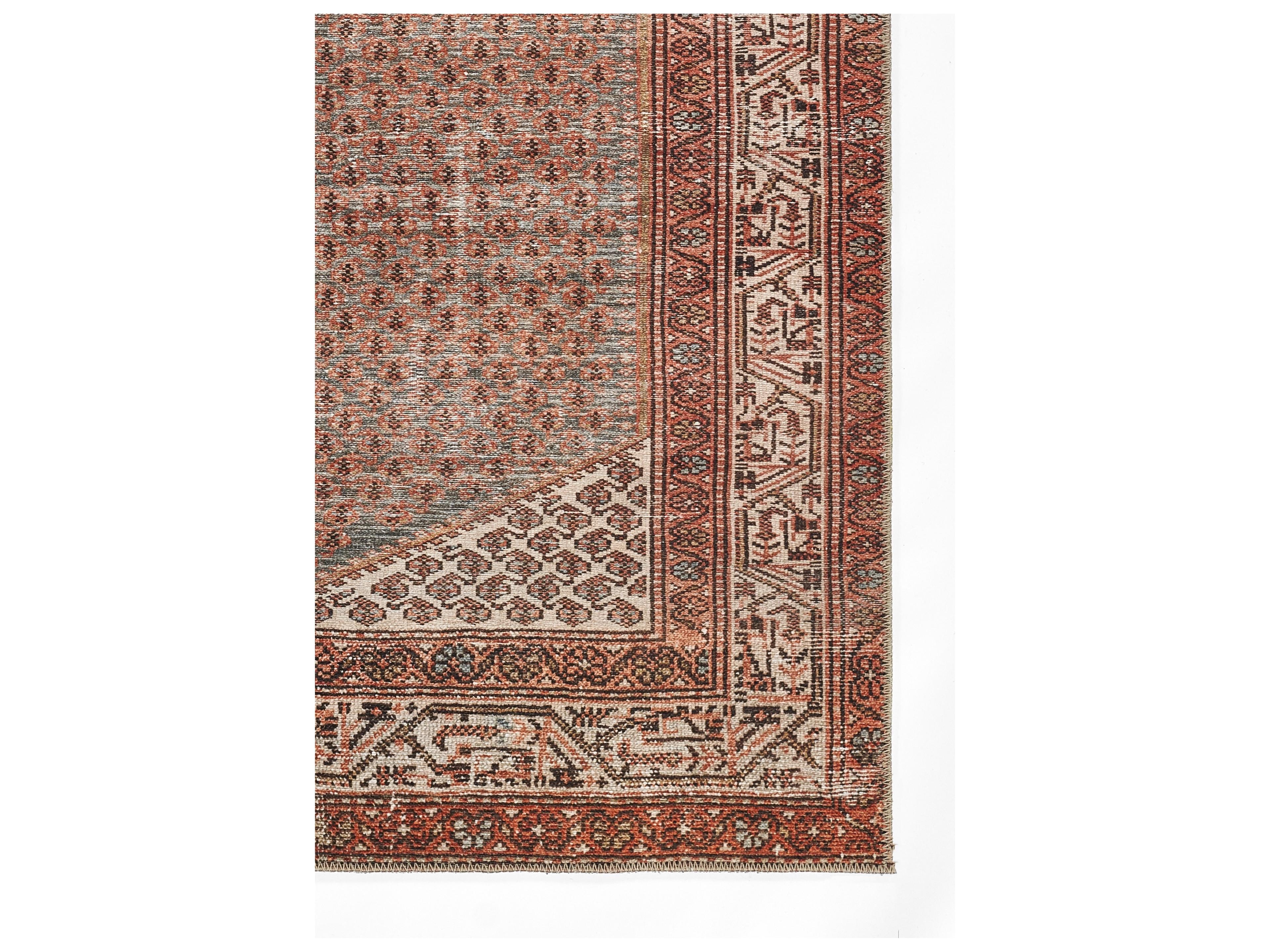 Momeni Ariana Bordered Area Rug