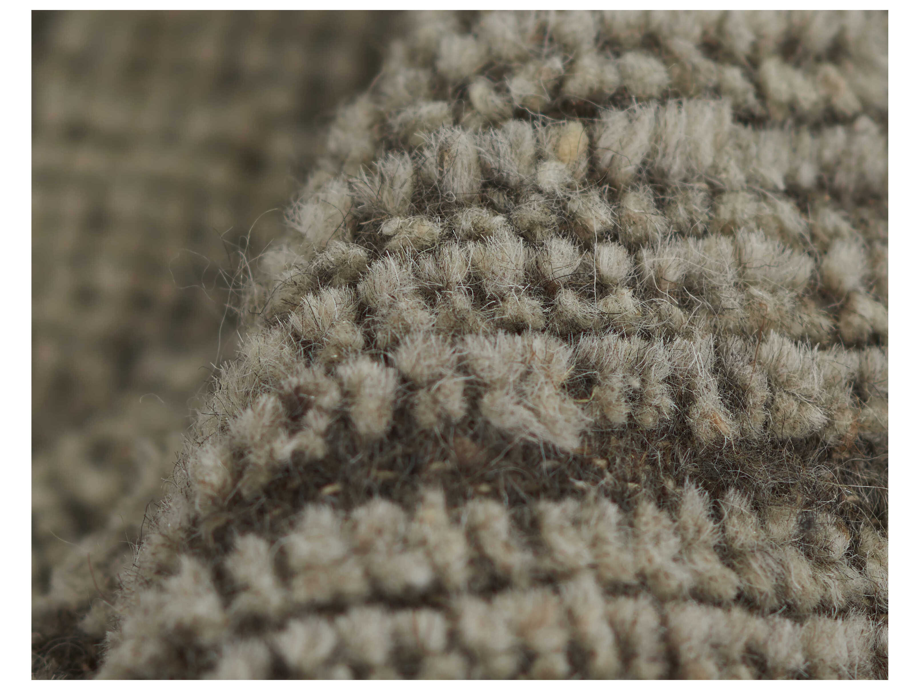 Momeni Bristol Bordered Area Rug