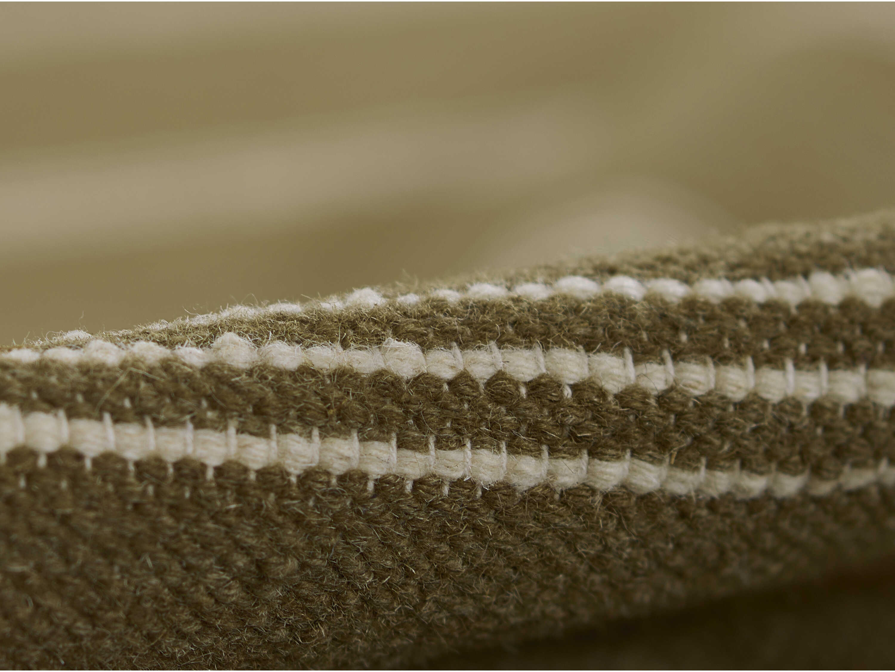 Momeni Caseres Striped Area Rug