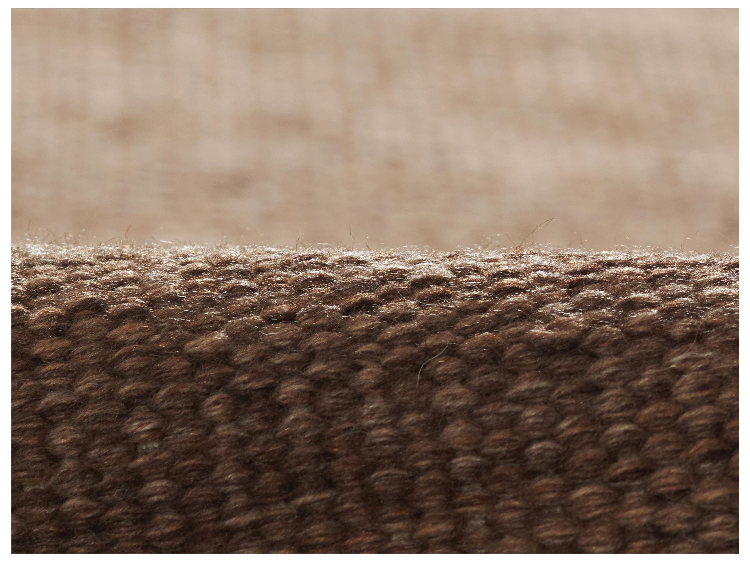 Momeni Cove Area Rug