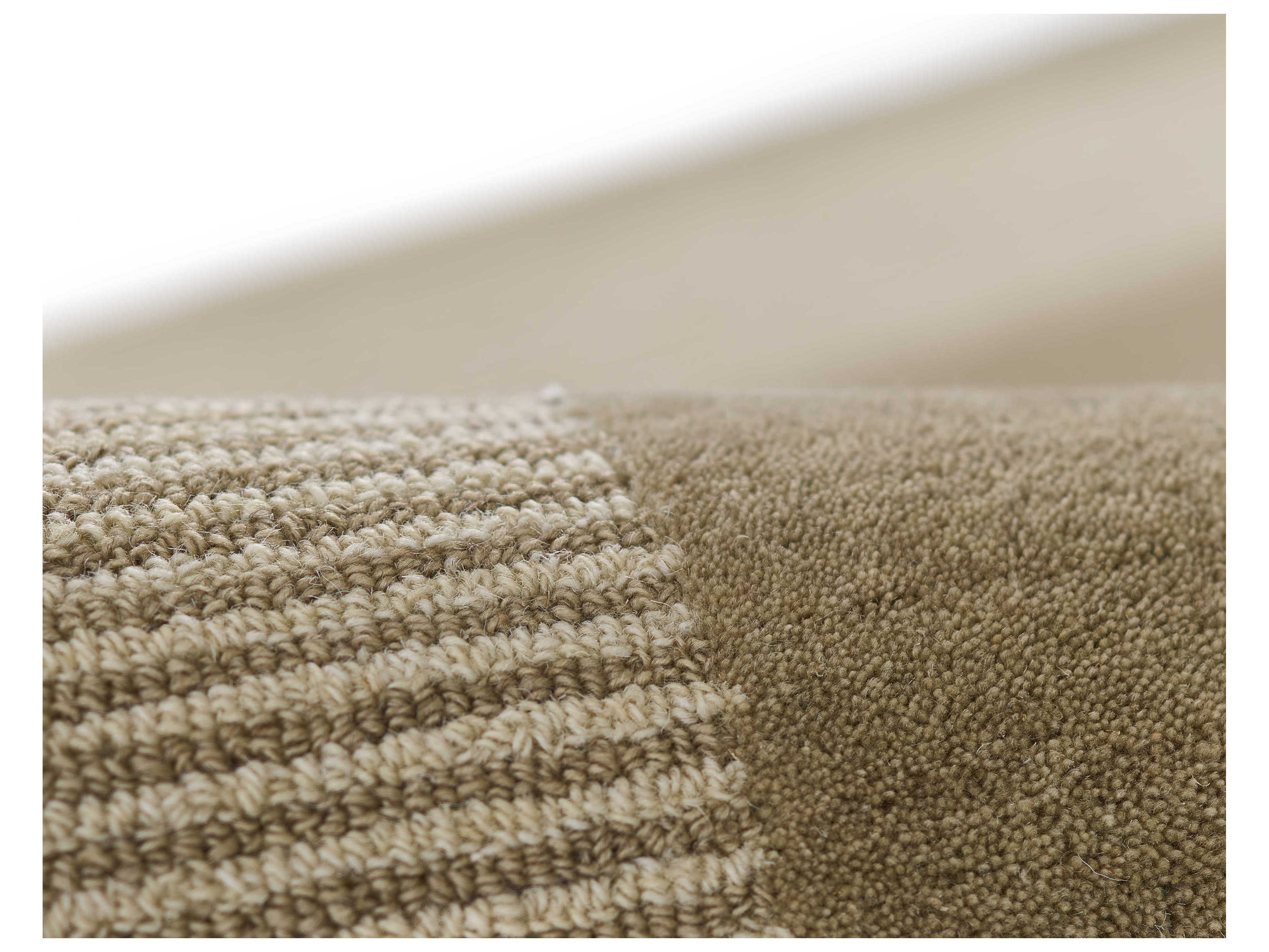 Momeni Everett Bordered Runner Area Rug