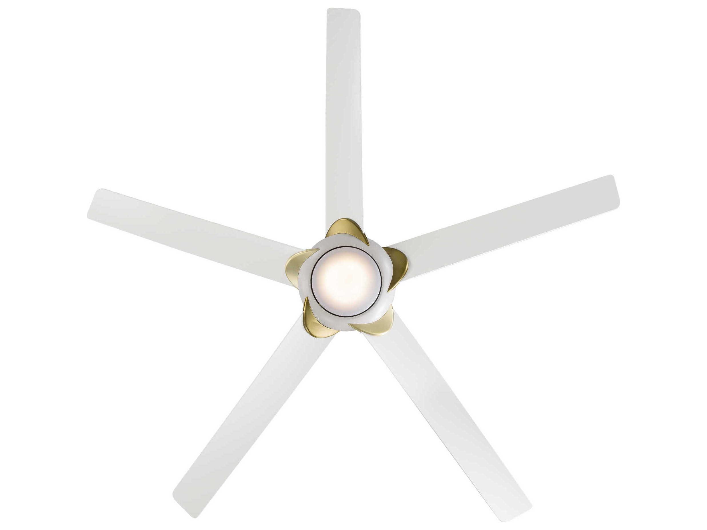 Modern Forms Lucid Soft Brass / Matte White 62" Ceiling Fan