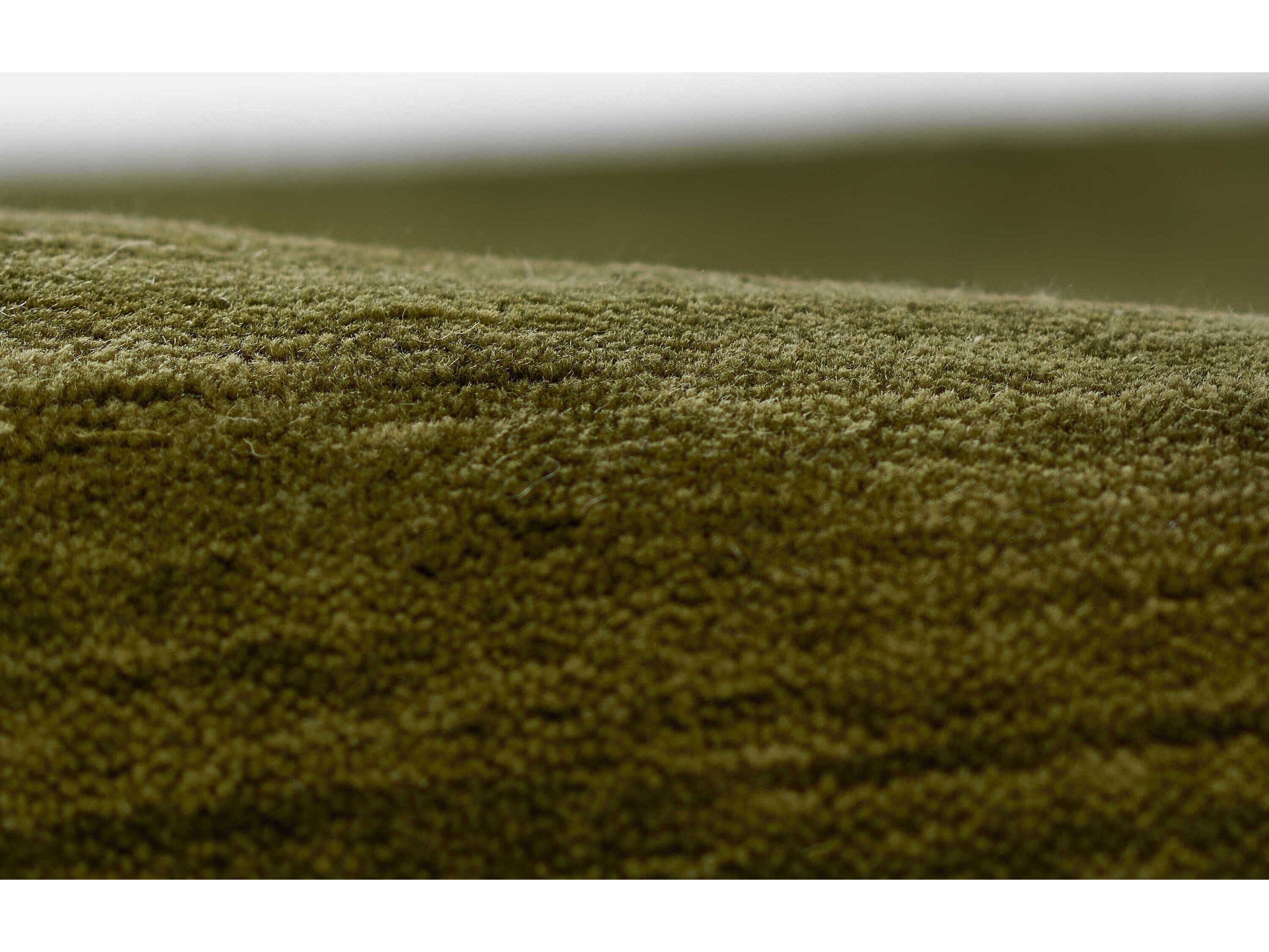 Momeni Iris Area Rug