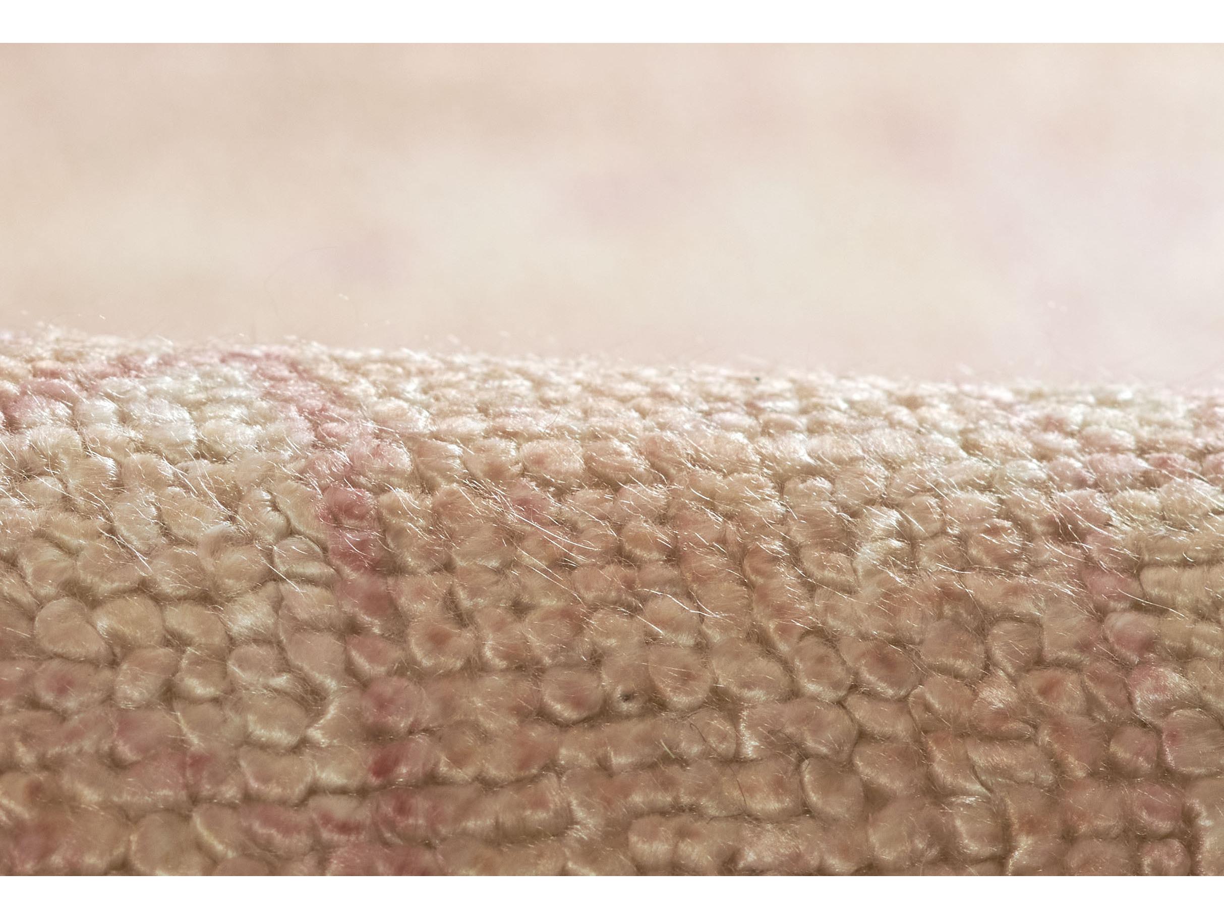 Momeni Luna Bordered Area Rug