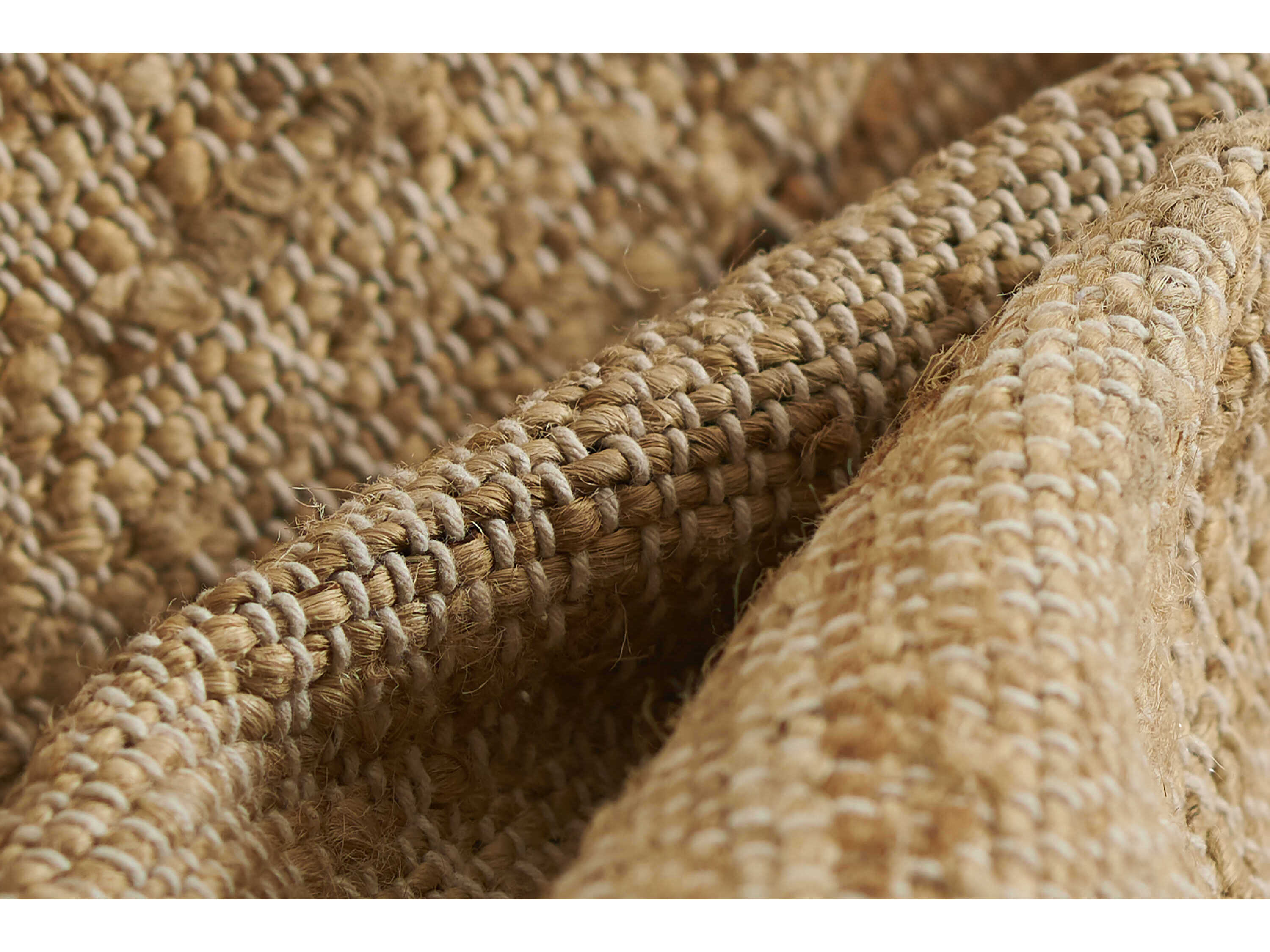 Momeni Orchard Bordered Area Rug