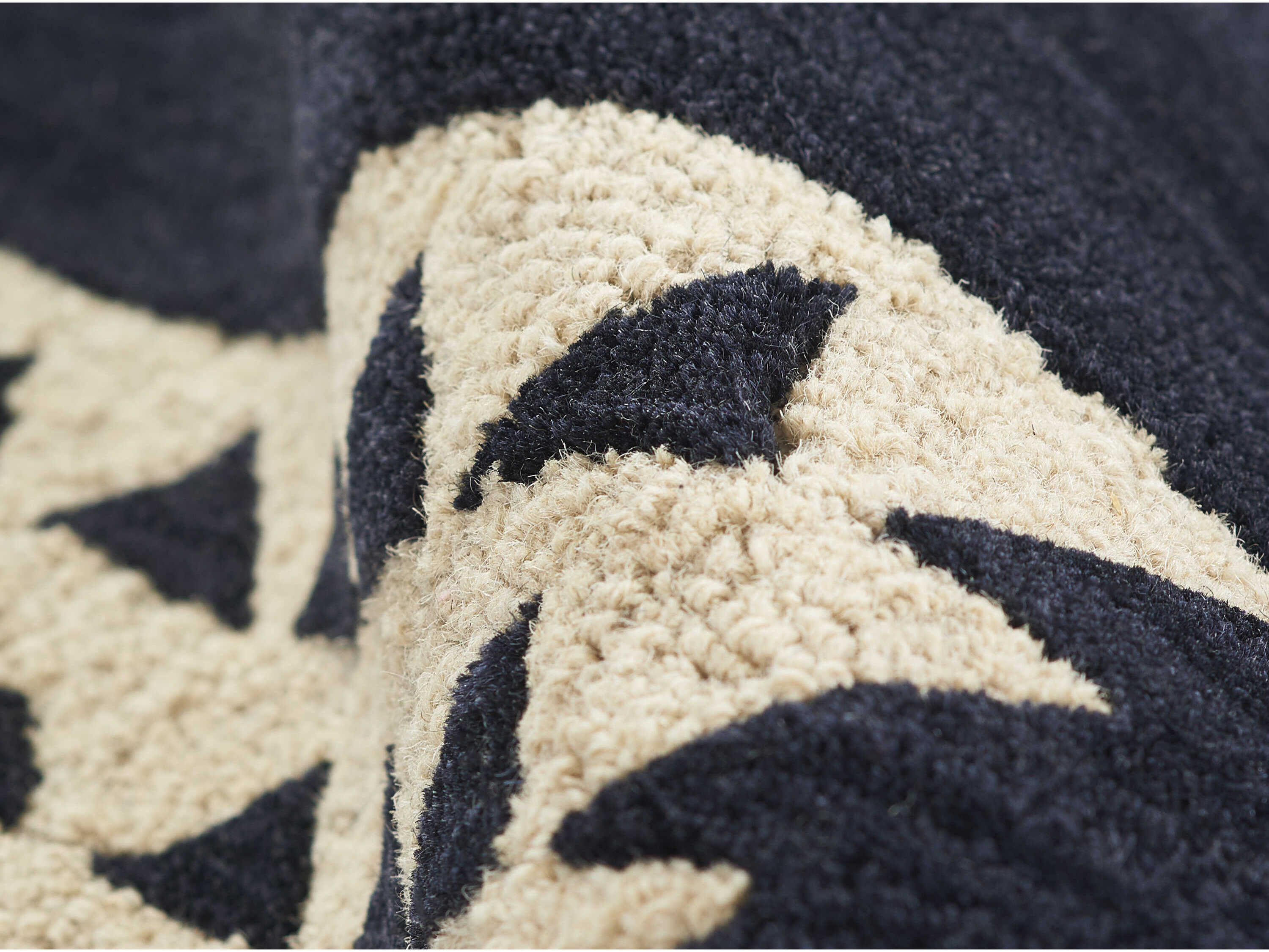 Momeni Simba Bordered Area Rug