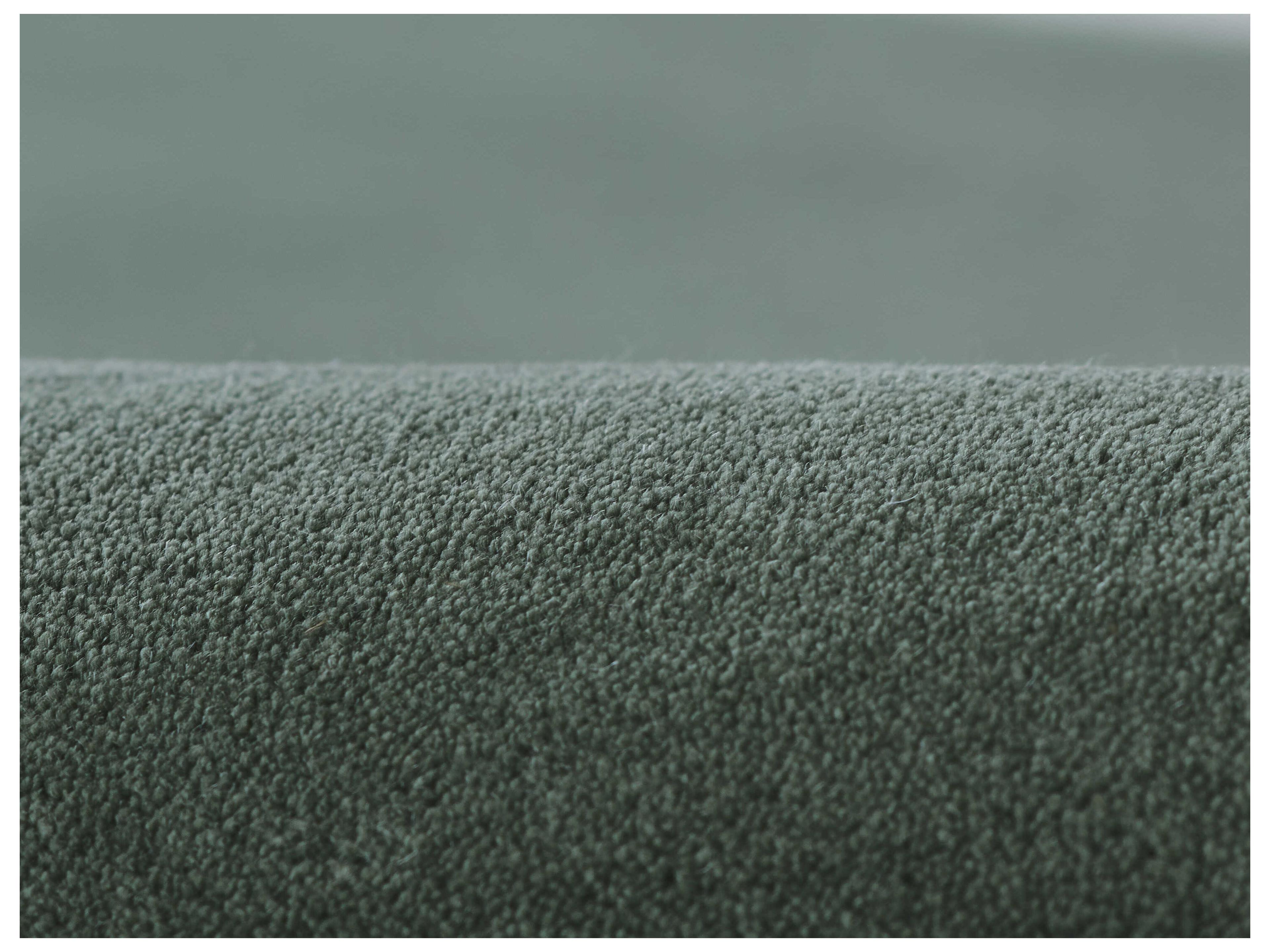 Momeni Tallulah Area Rug