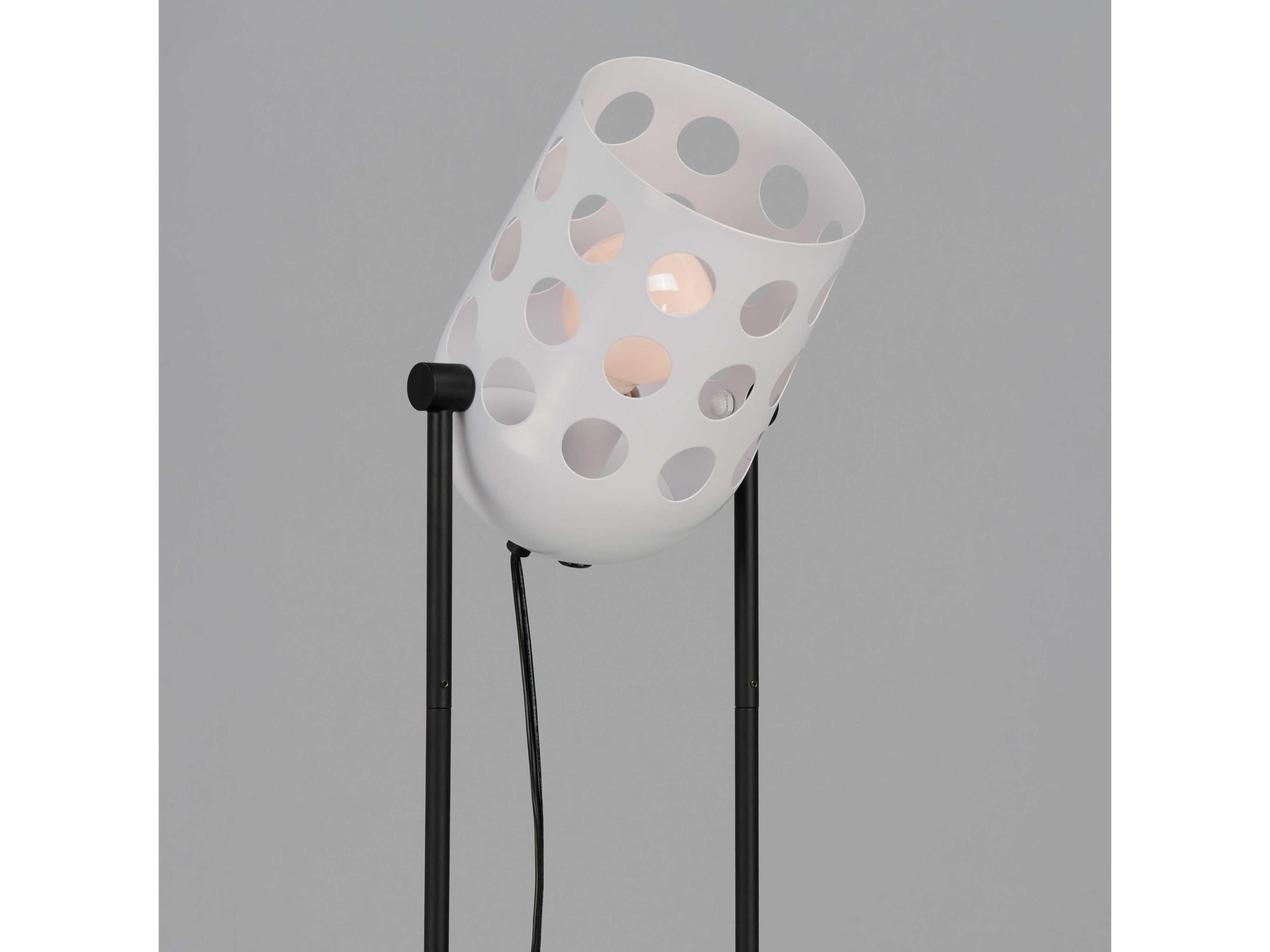 Maxim Lighting Dottie Black Floor Lamp