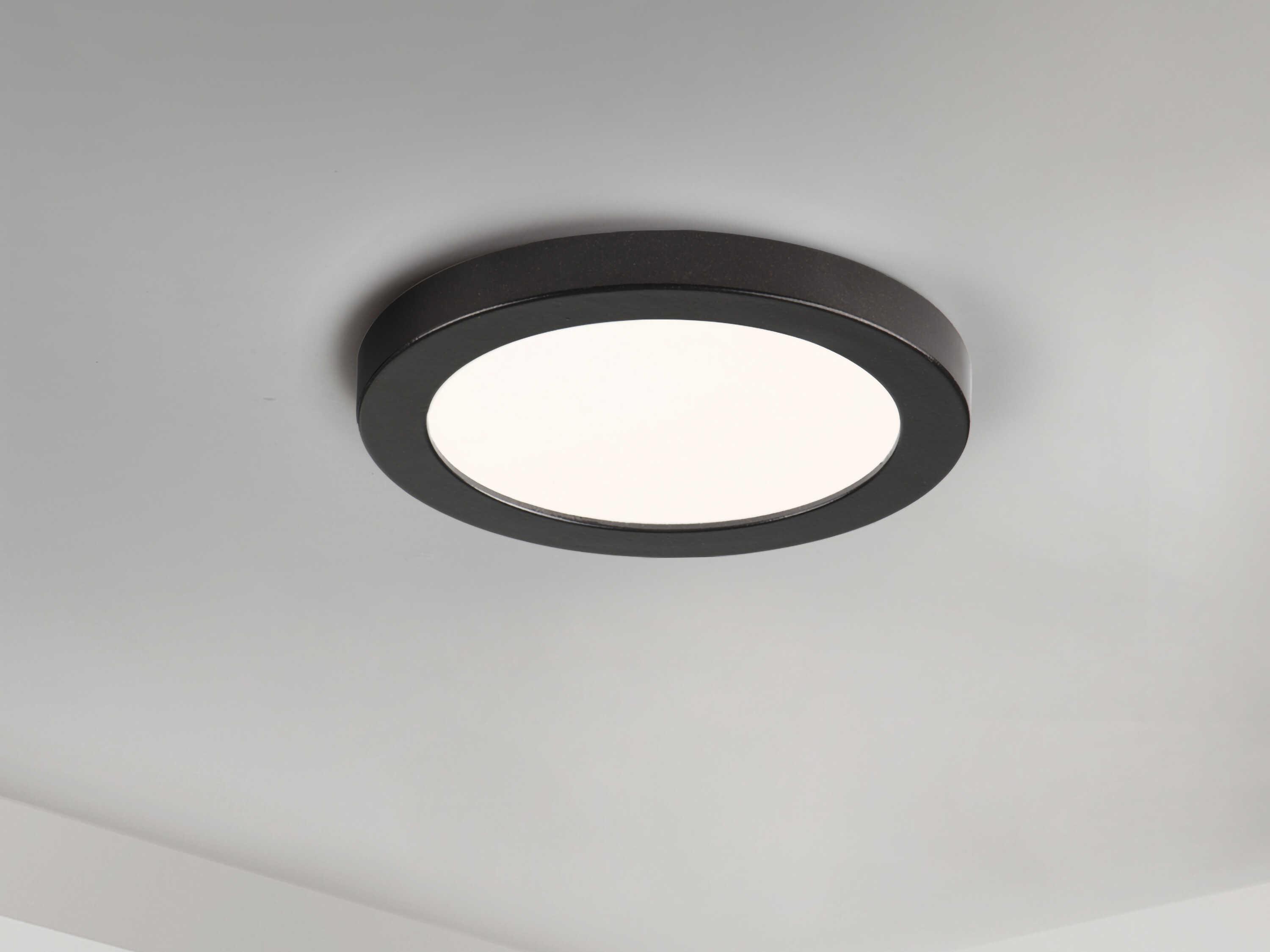 Maxim Lighting Chip 1-Light Black Round Flush Mount