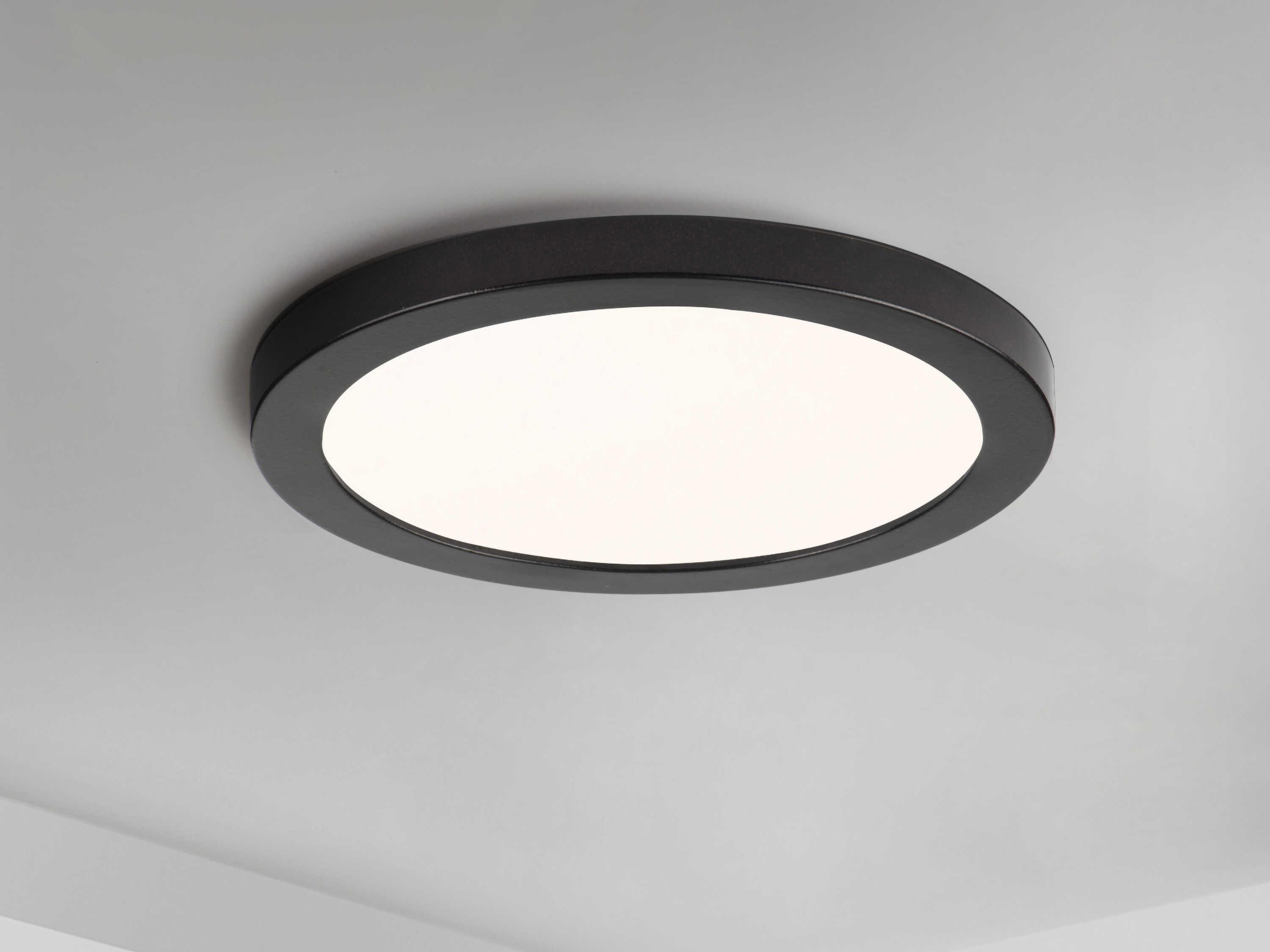 Maxim Lighting Chip 1-Light Black White Round Flush Mount