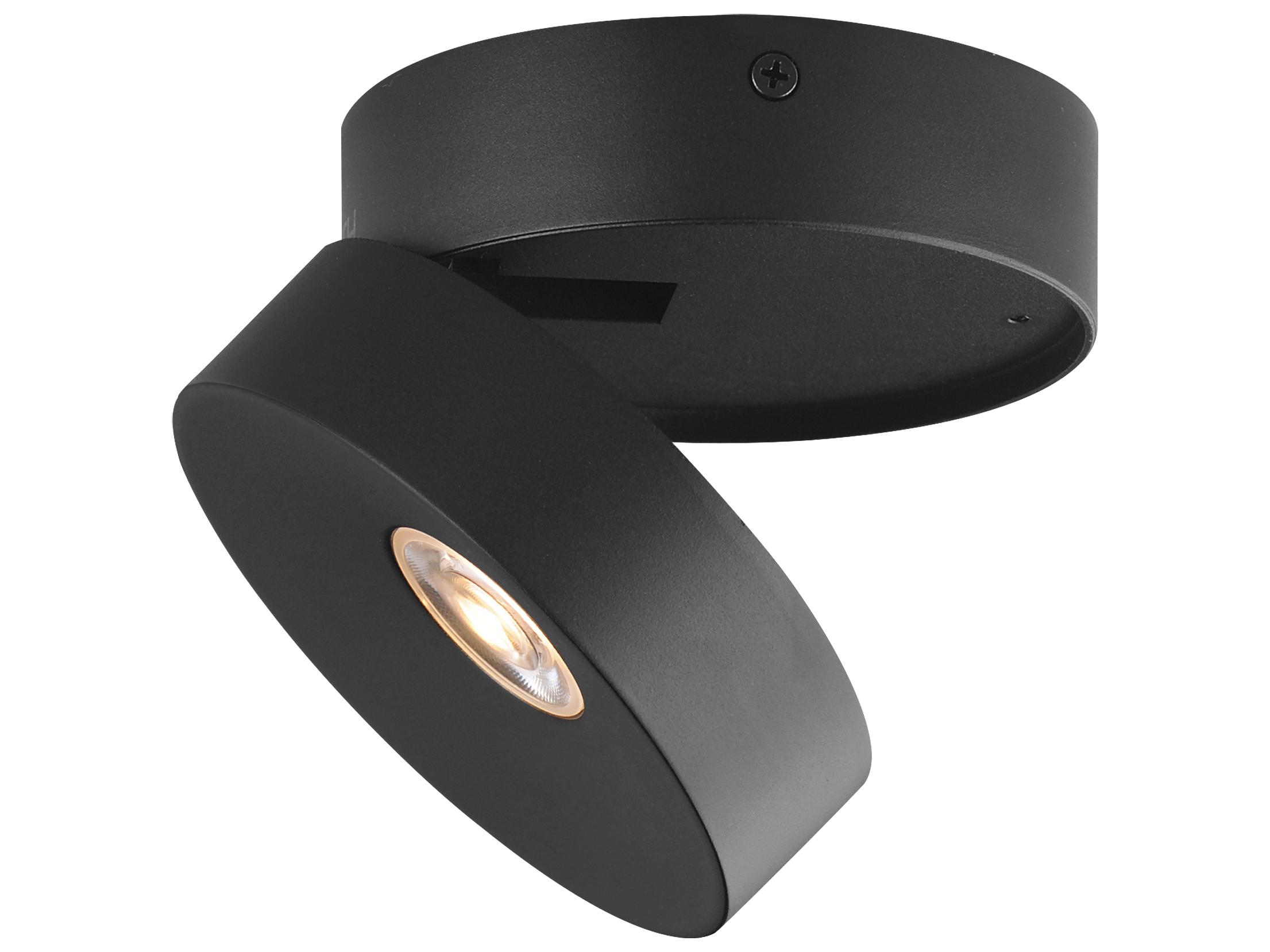 Maxim Lighting Swinger 1-Light Outdoor Ceiling Light