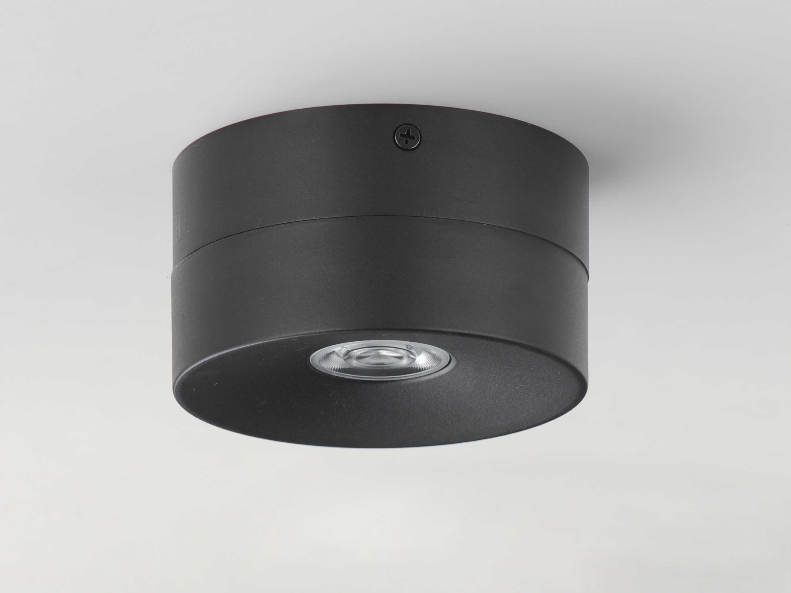 Maxim Lighting Swinger 1-Light Outdoor Ceiling Light