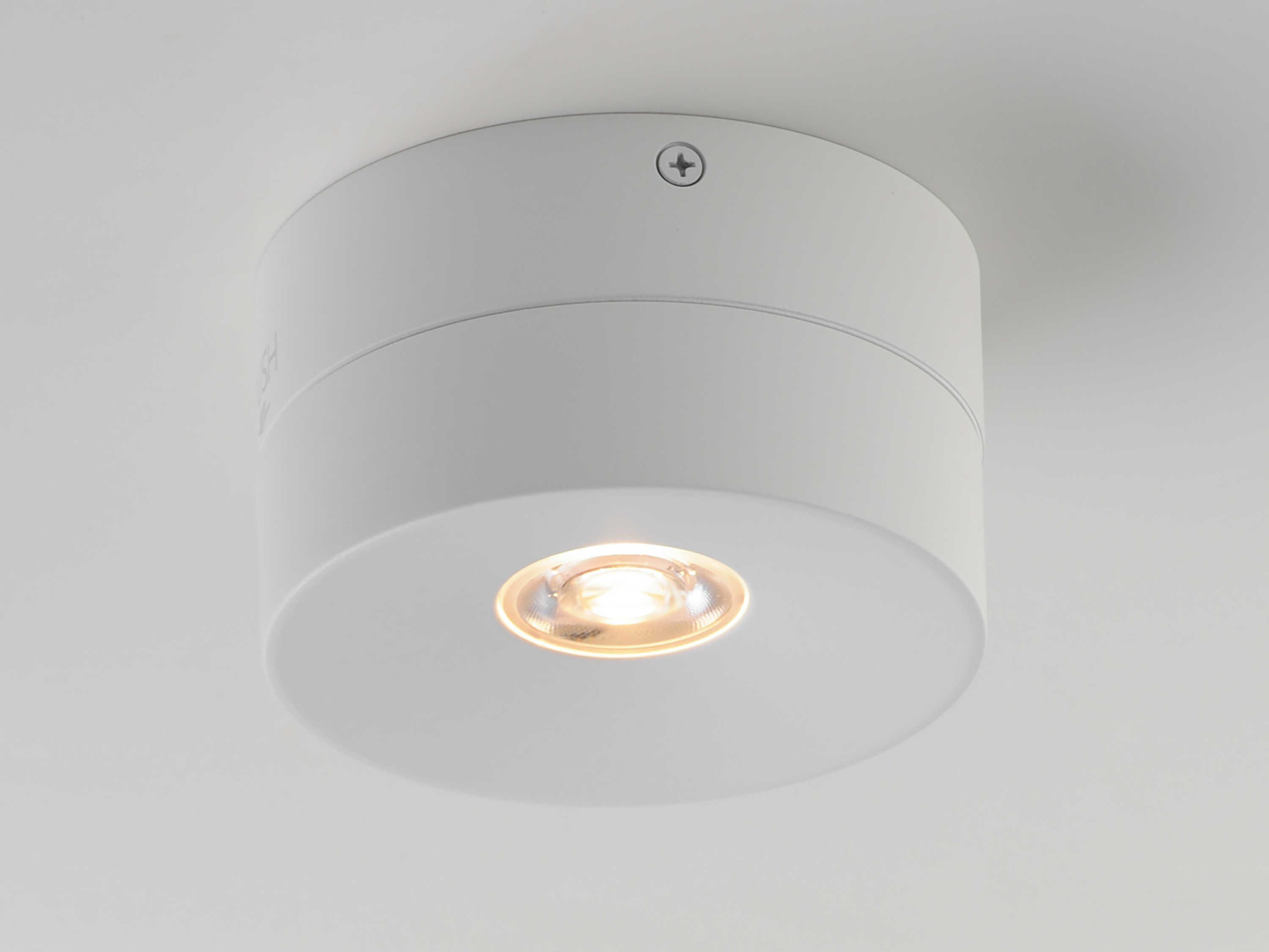 Maxim Lighting Swinger 1-Light Outdoor Ceiling Light