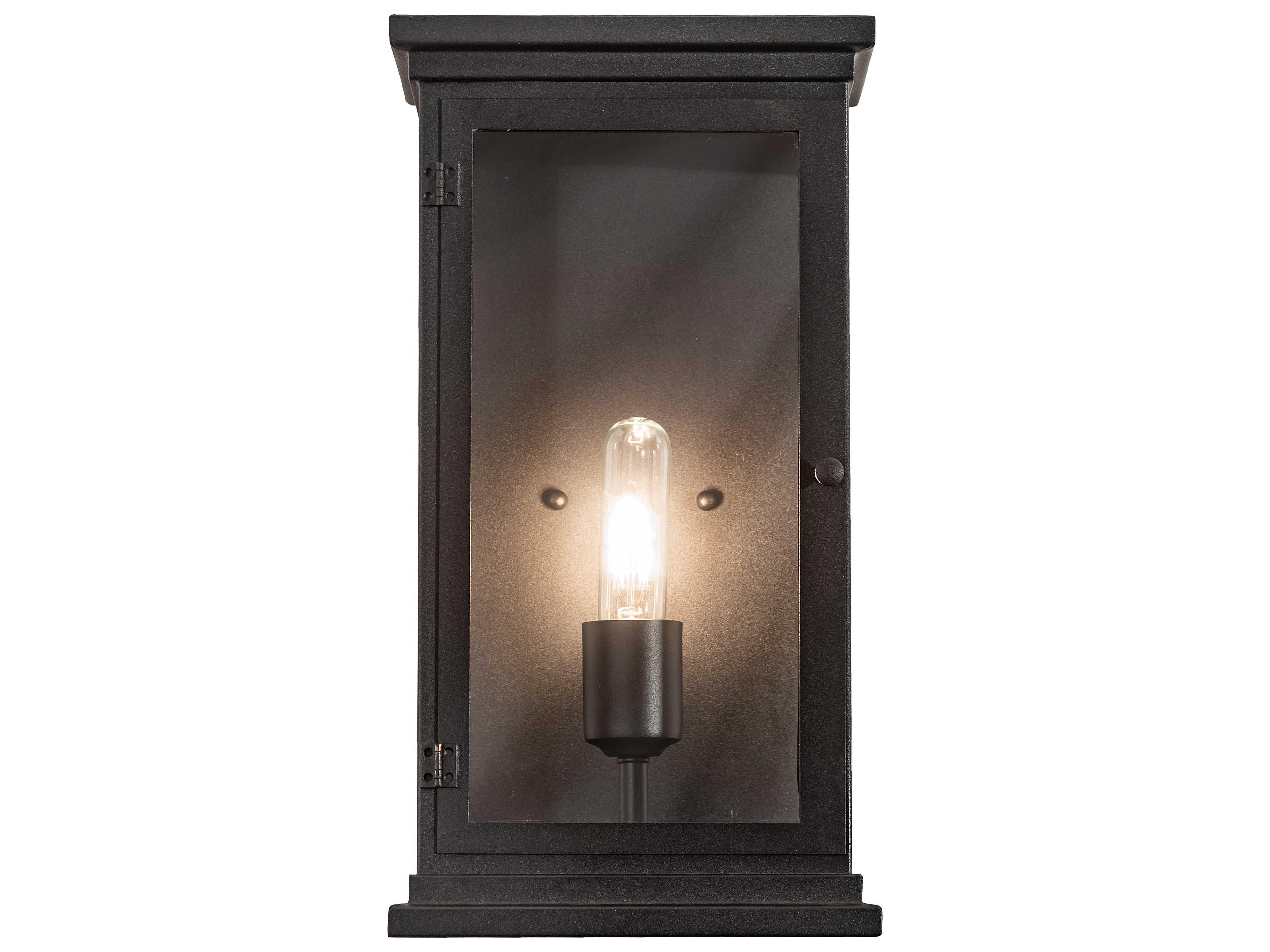 Meyda Whitman 1 - Light Glass Outdoor Wall Light
