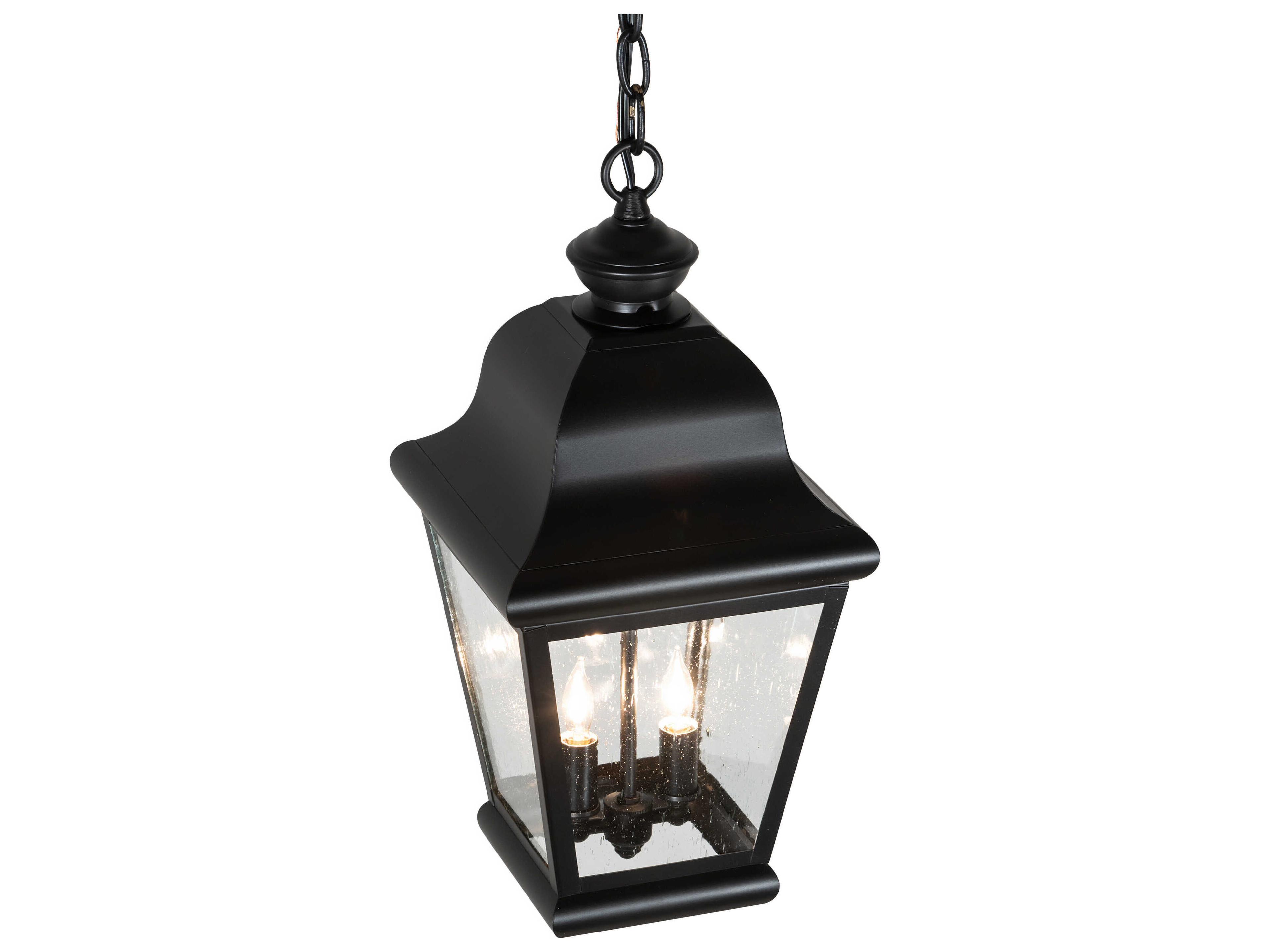 Meyda Palmer Outdoor Hanging Light