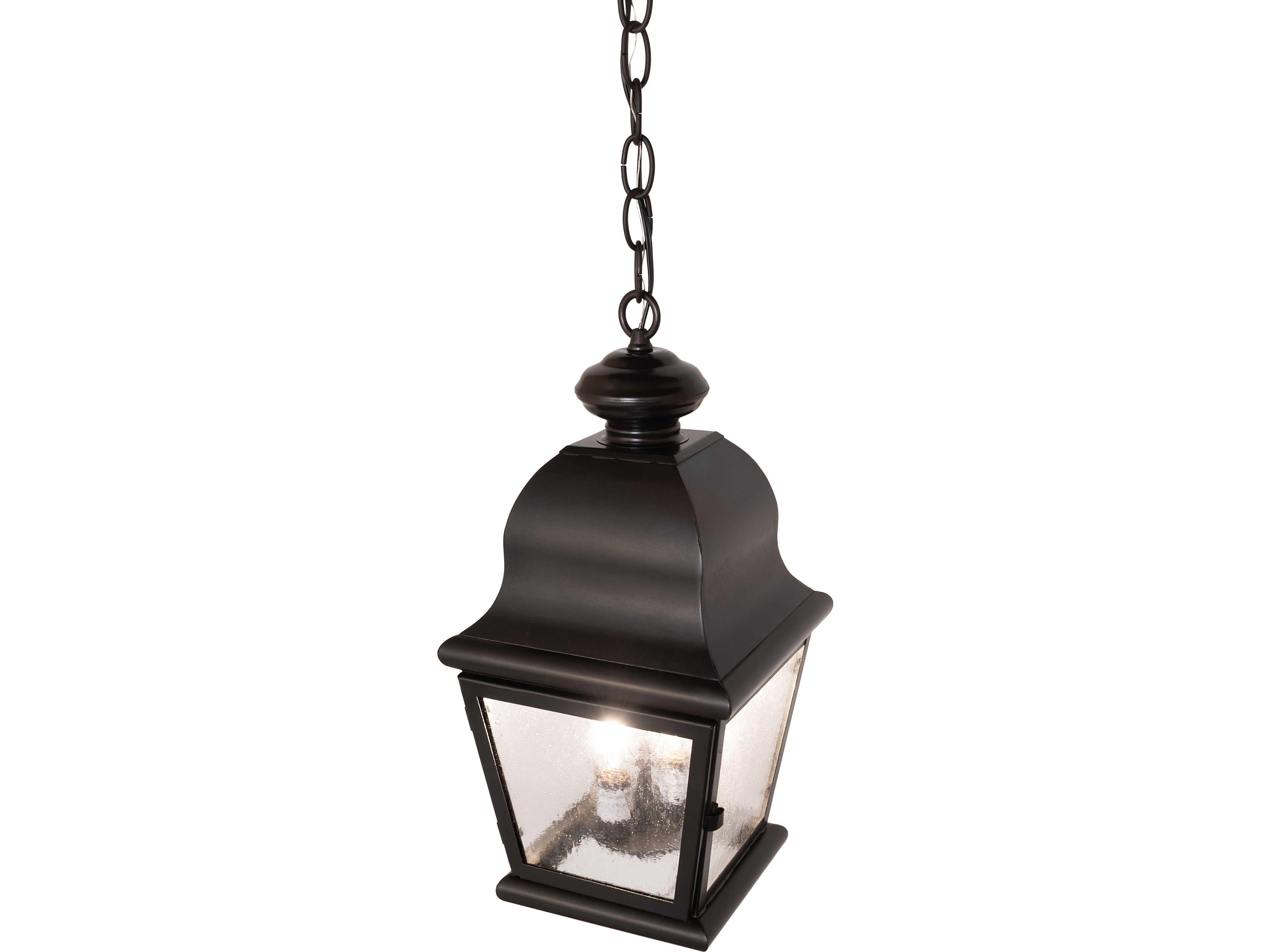 Meyda Lapalma 2-Light Clear Seeded Glass Bronze Traditional Lantern Mini Pendant