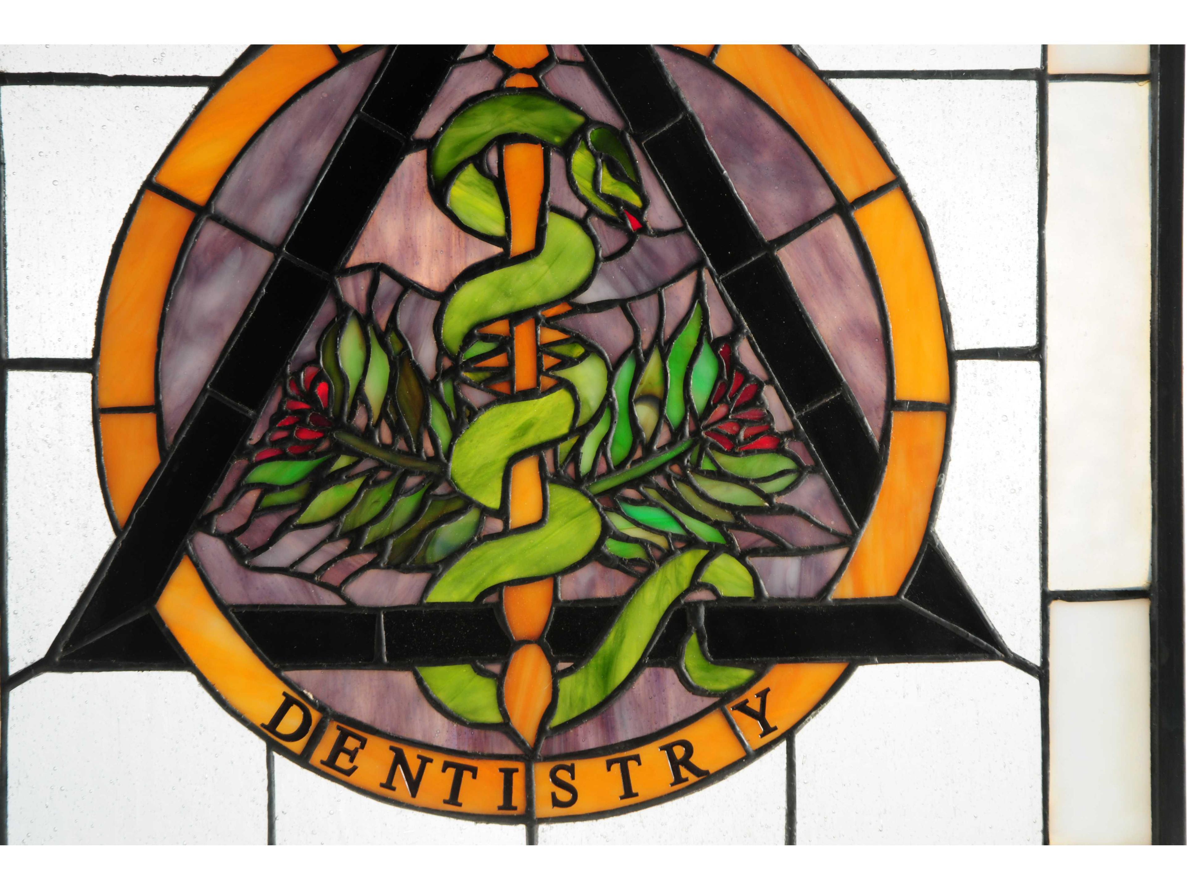 Meyda Lighting Dentistry 18" Dentistry Stained Glass Window