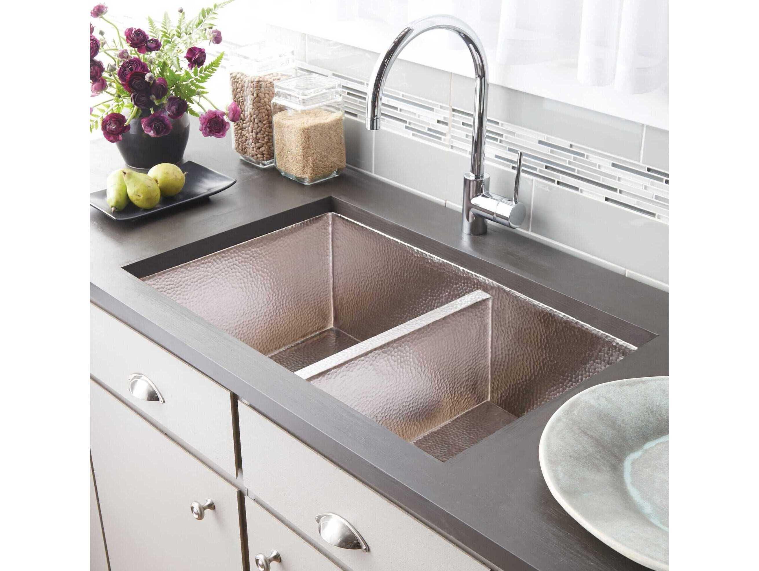 Native Trails Cocina Brushed Nickel Duet Kitchen Sink