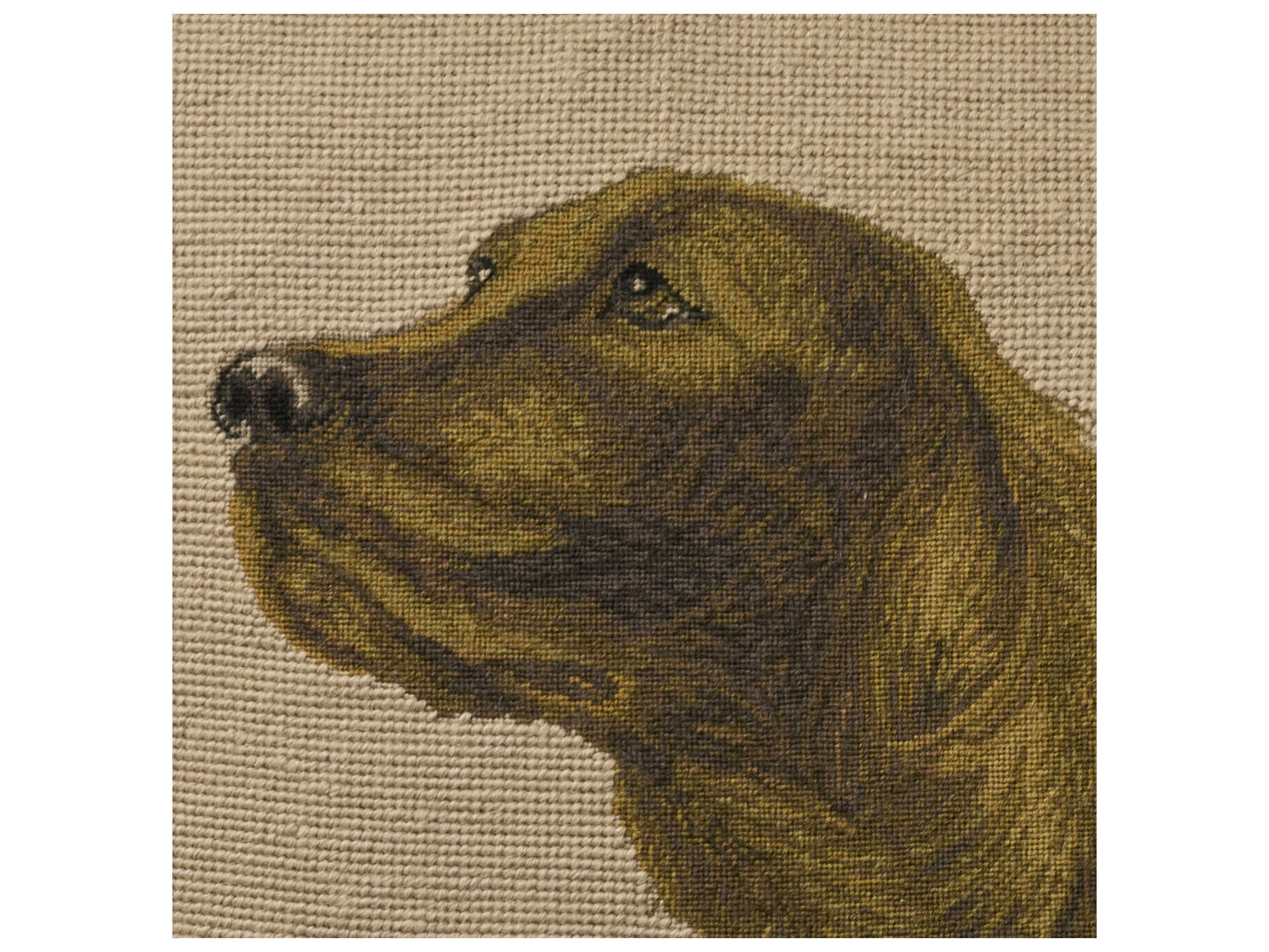 Nourison Mina Victory Vintage Golden Retriever 20" x 20" Beige Pillow