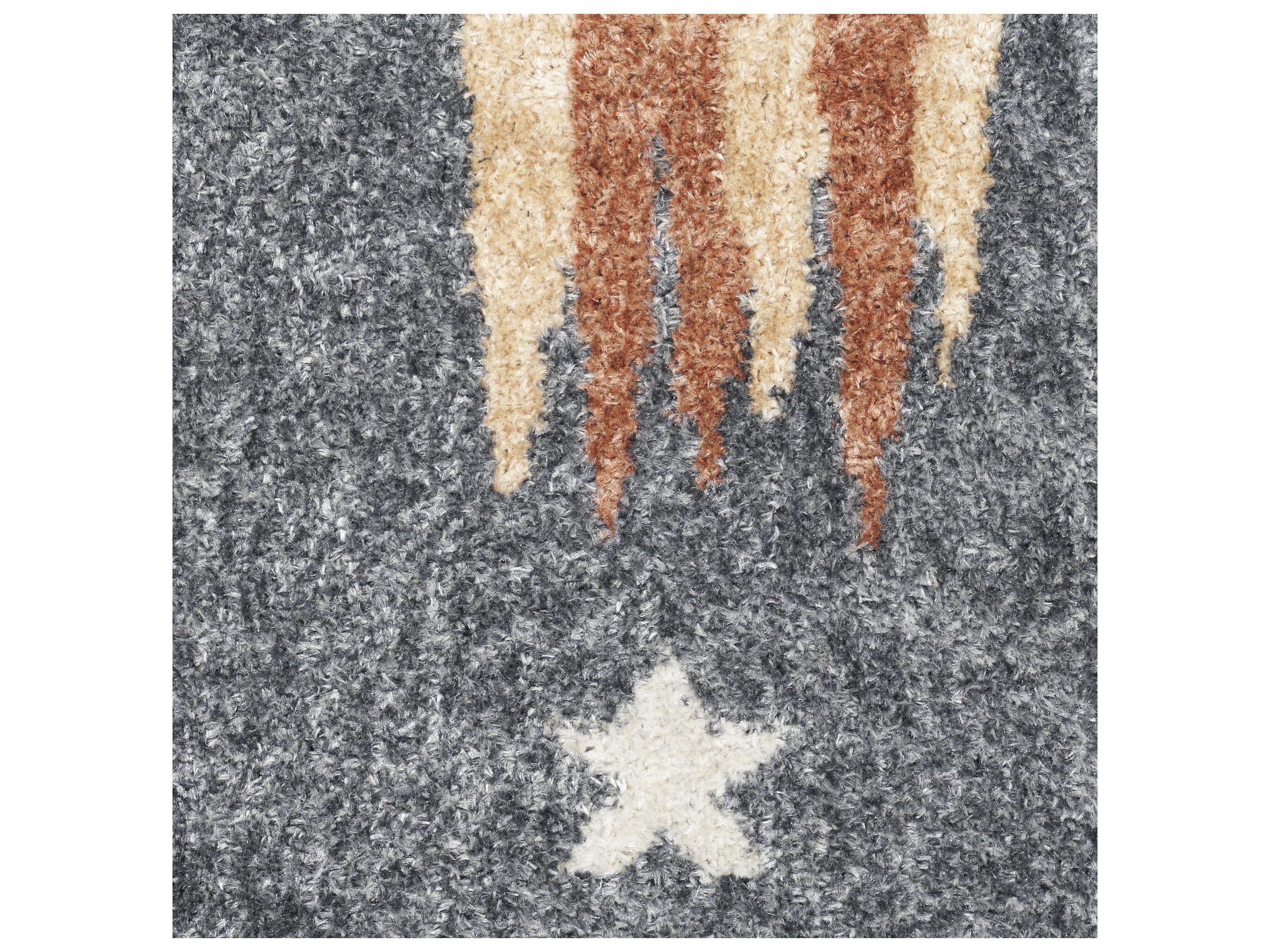 Nourison Astra Machine Washable Graphic Area Rug