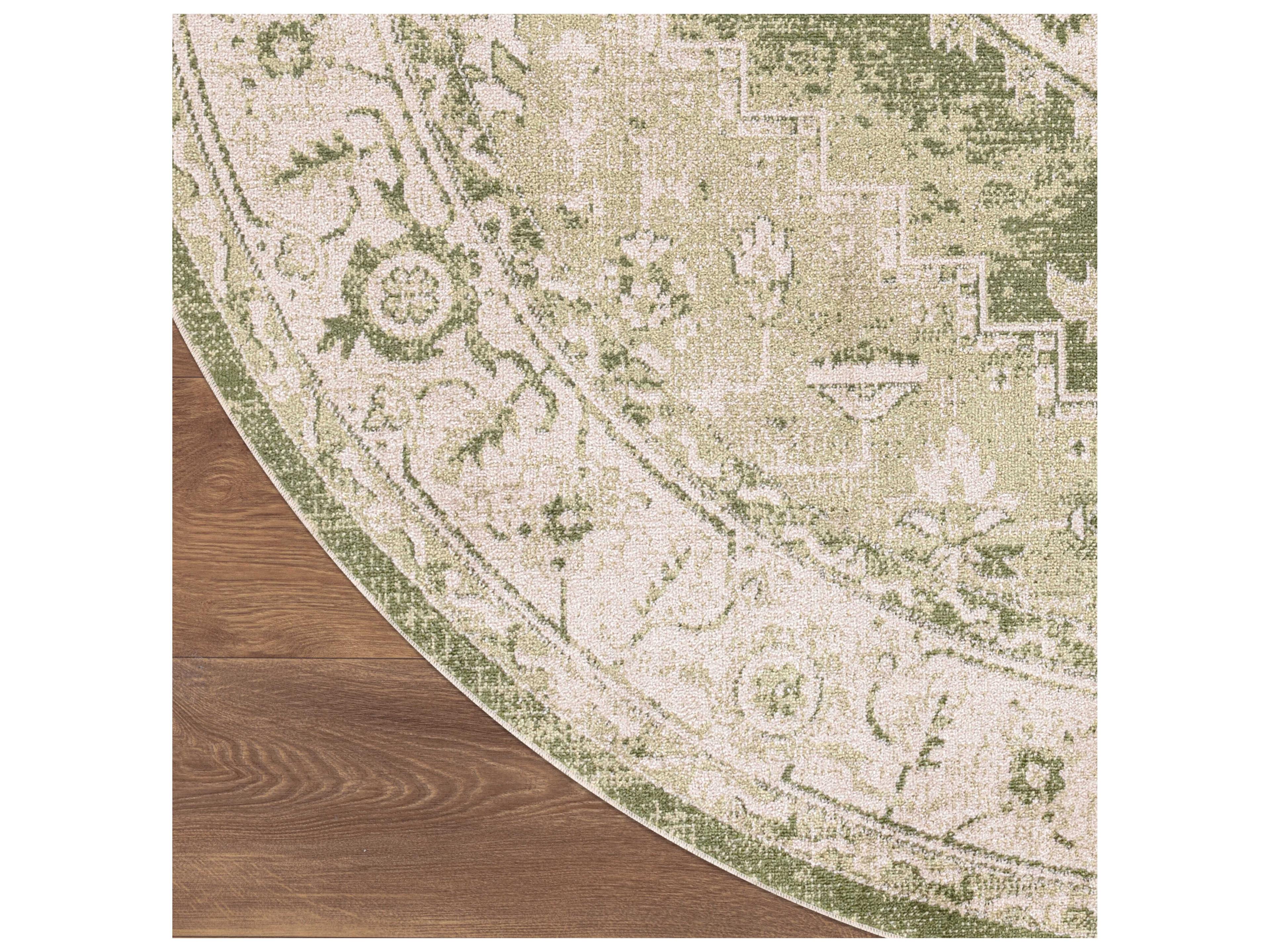 Nourison Astra Machine Washable Bordered Area Rug