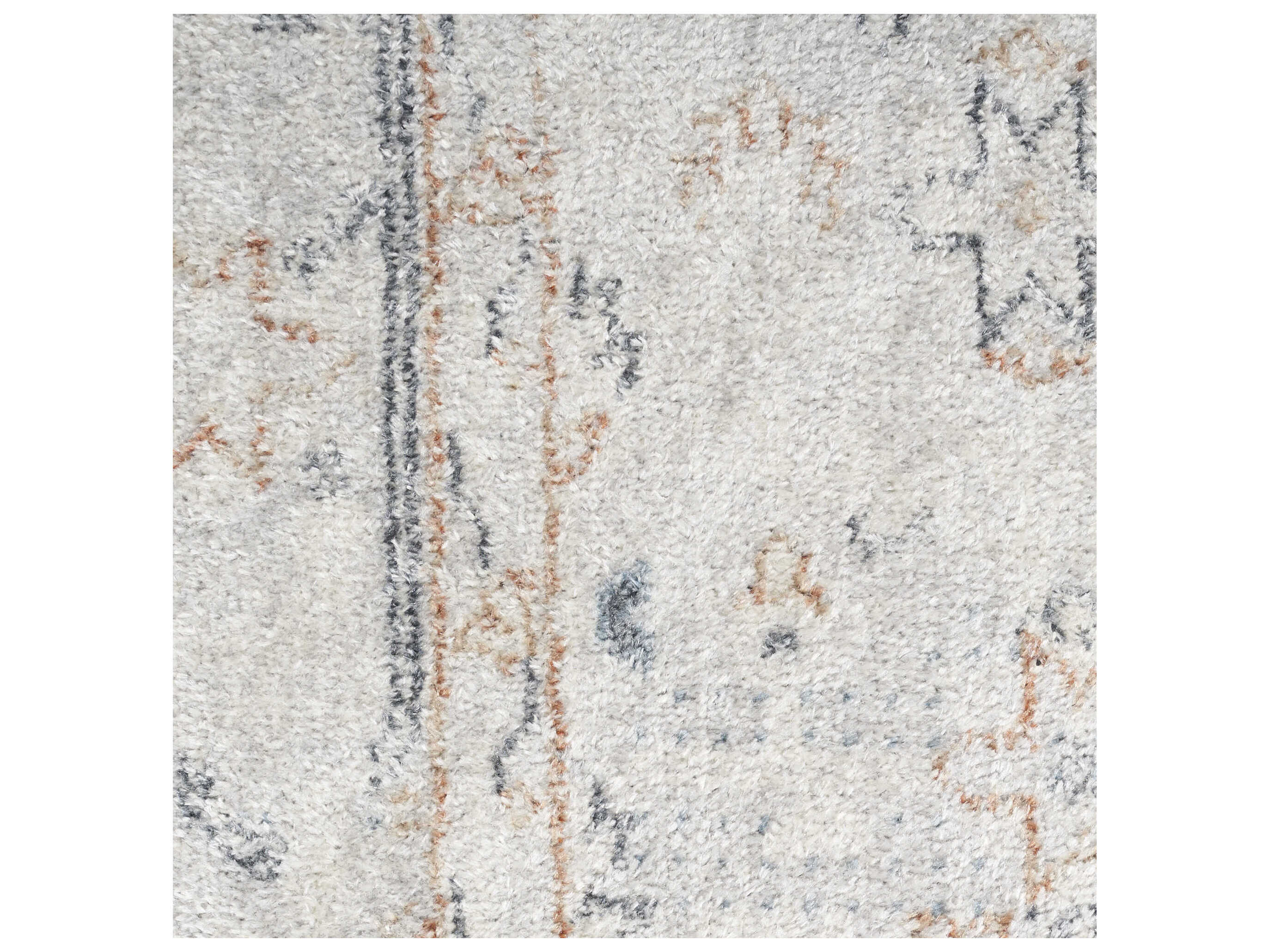 Nourison Astra Machine Washable Bordered Area Rug